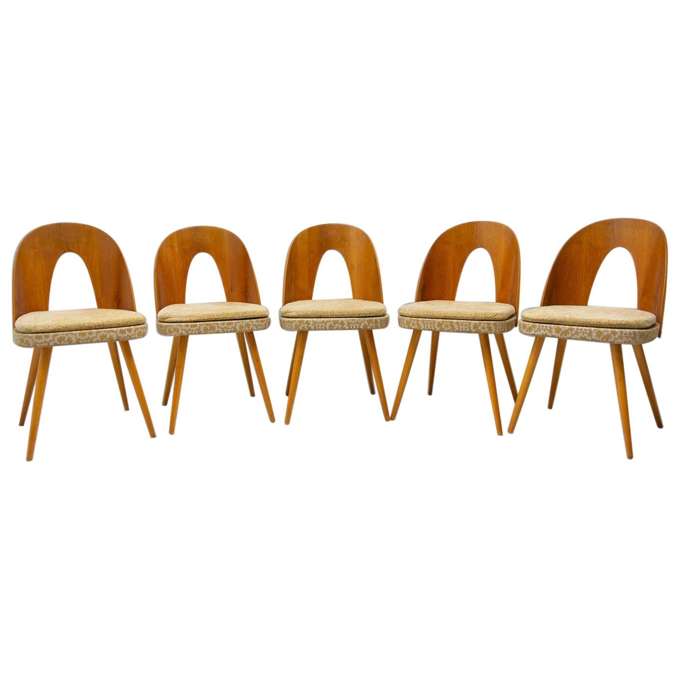 Mid Century Dinning Chairs by Antonín Šuman for Tatra Nábytok, Set of 5