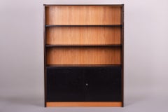 Mid-Century Display Cabinet Made in Czechia, '50s, Restored Oak