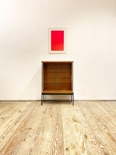 Mid Century Display Showcase Cabinet in Teak by Dieter Waeckerlin, Behr, Germany