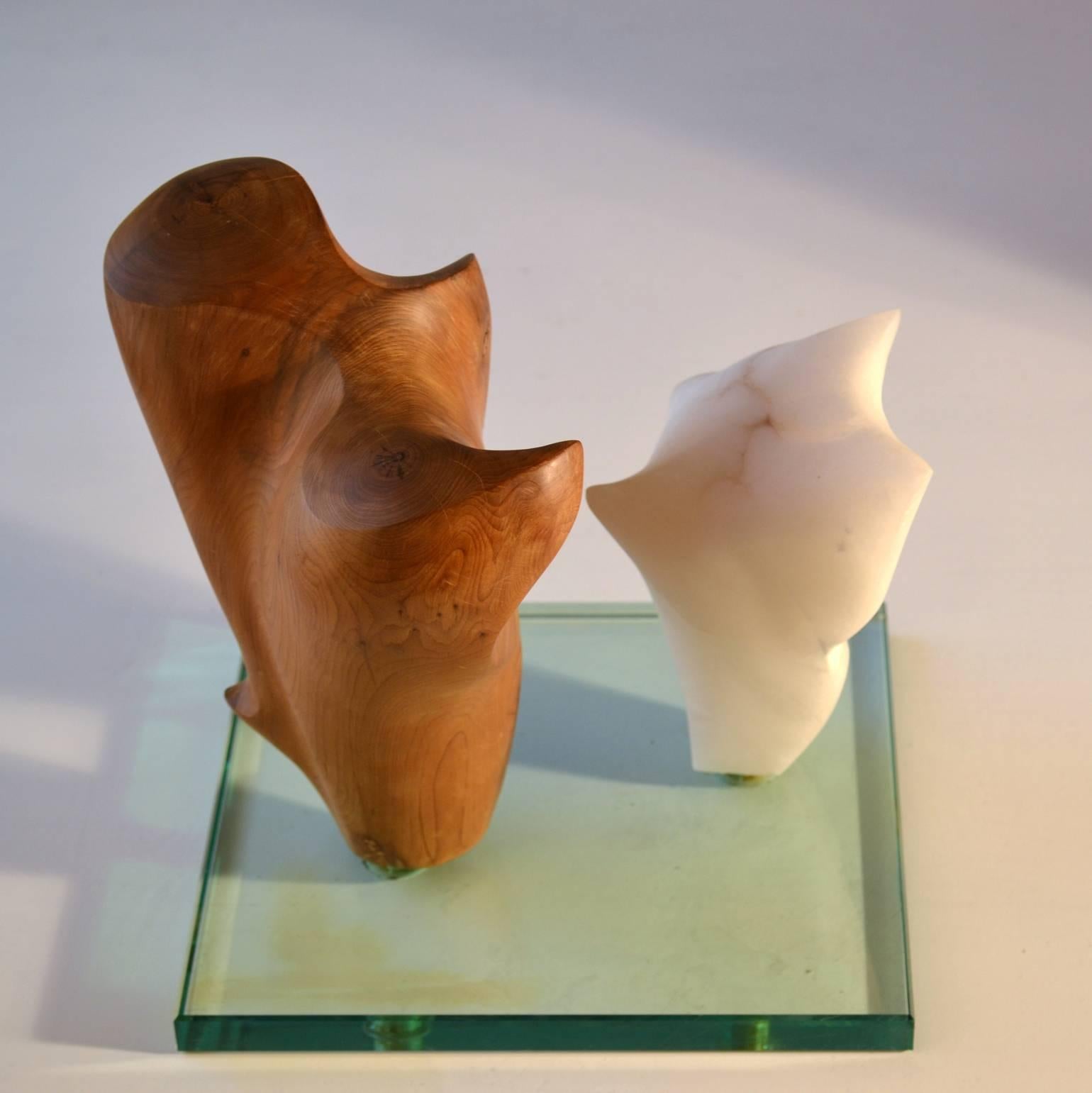 Two organically formed sculptures assembled on a glass plinth are in a dialogue with each other. One sculpture is carved in alabaster with a quiet sheen. The other is curvaceously chiseled and polished in wood. Sculpted by an unknown artist in the
