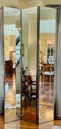 Mid Century Double-Sided and Beveled Mirror Room Divider with Full Piano Hinge