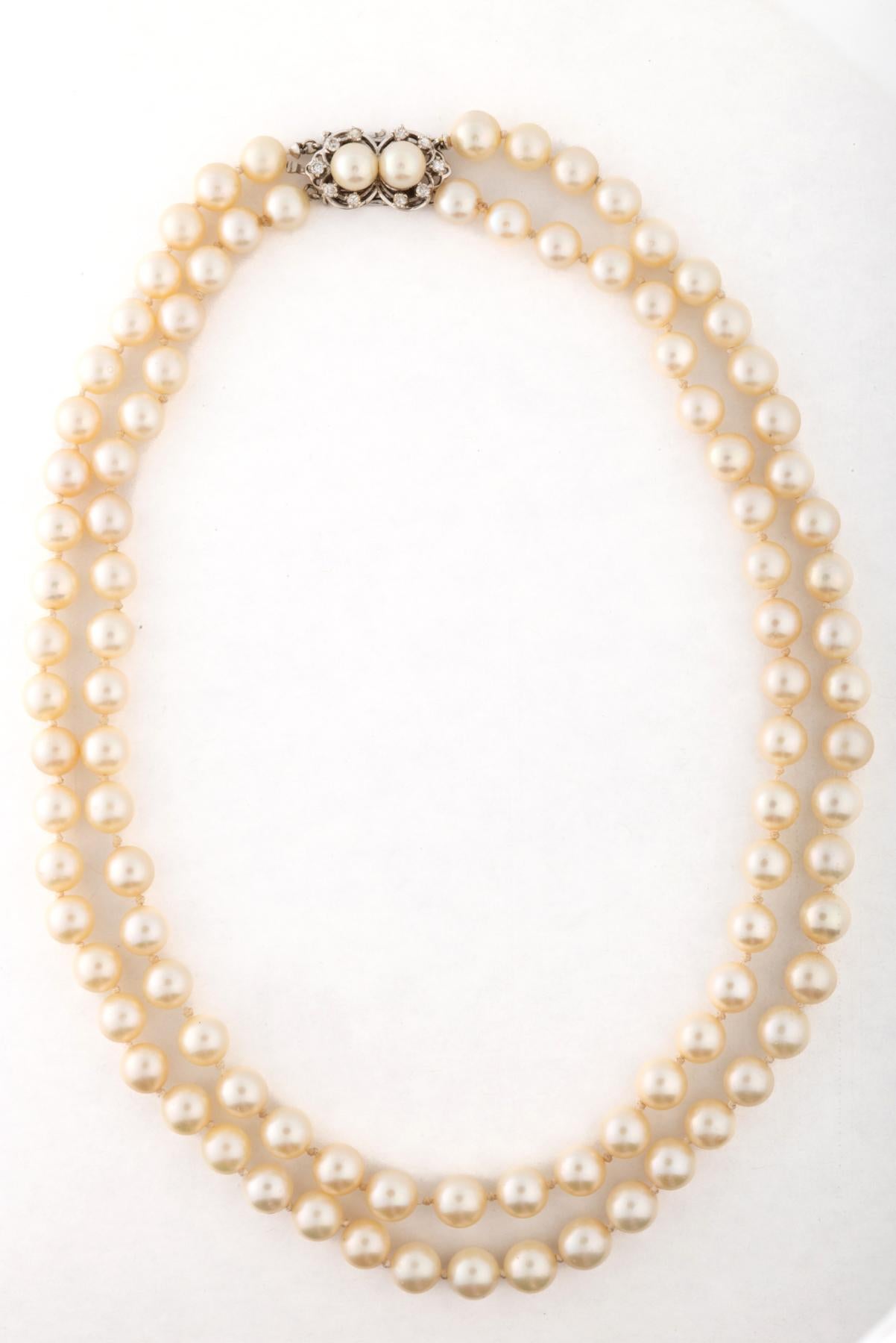 Mid Century Double Strand Cultured Pearls with Diamond Pearl Clasp In Excellent Condition For Sale In Stamford, CT