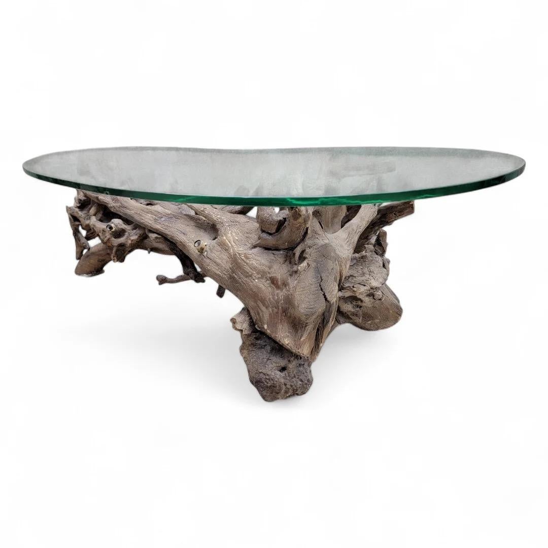 Mid-Century Modern Mid Century Drift/Teak Root Live Edge Kidney Shape Glass Top Coffee Table For Sale