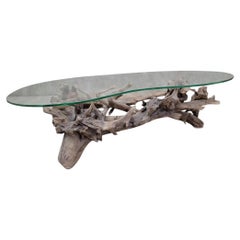 Tavolino da caffè con piano in vetro a forma di rene con radice viva in legno di teak del metà del secolo scorso