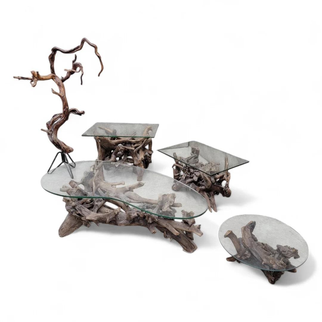Mid Century Drift/Teak Root Live Edge Rectangle Glass Top Side Table - Set Of 2 In Good Condition For Sale In Chicago, IL