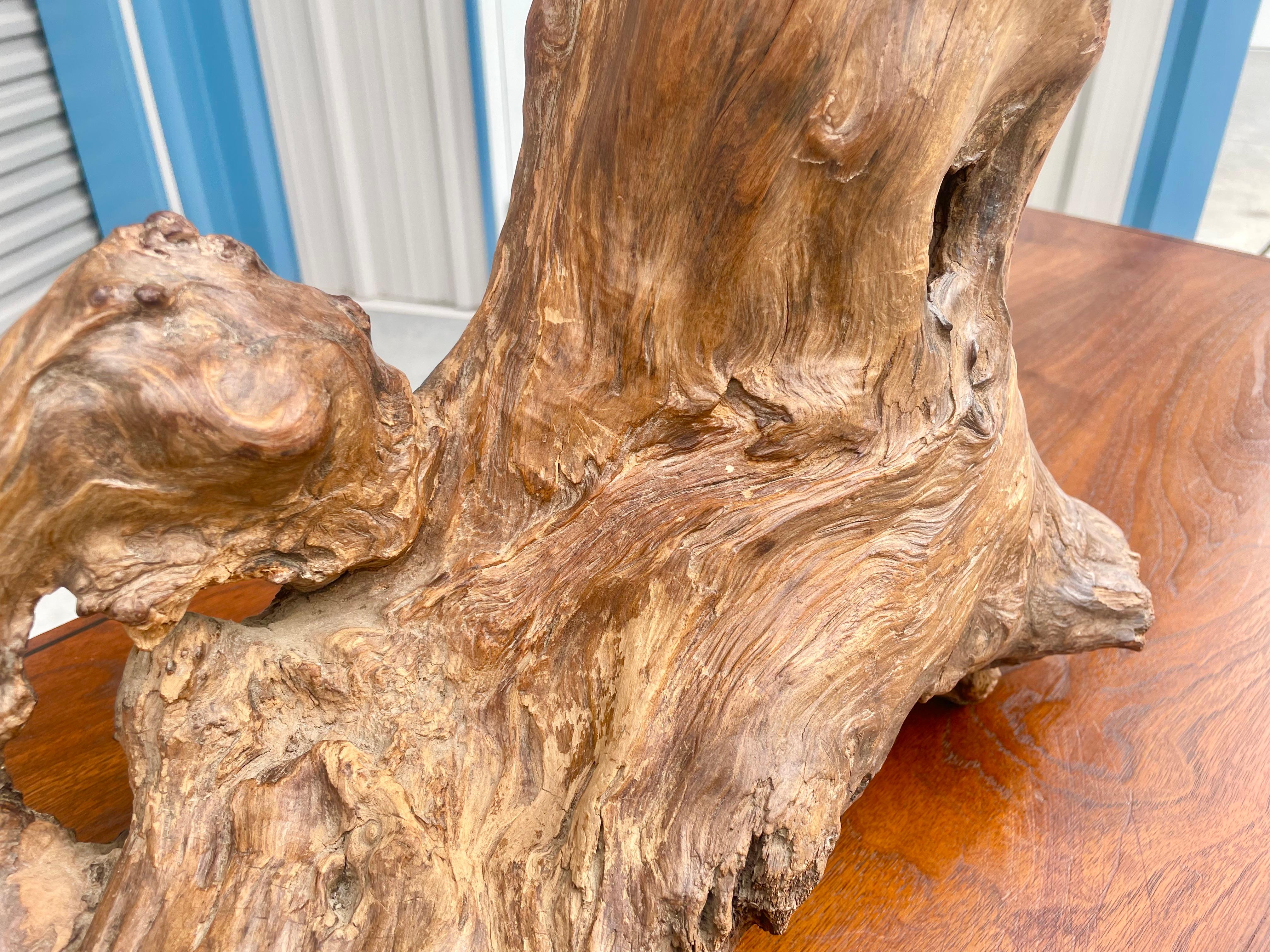 Midcentury Driftwood Desk Lamp For Sale 3