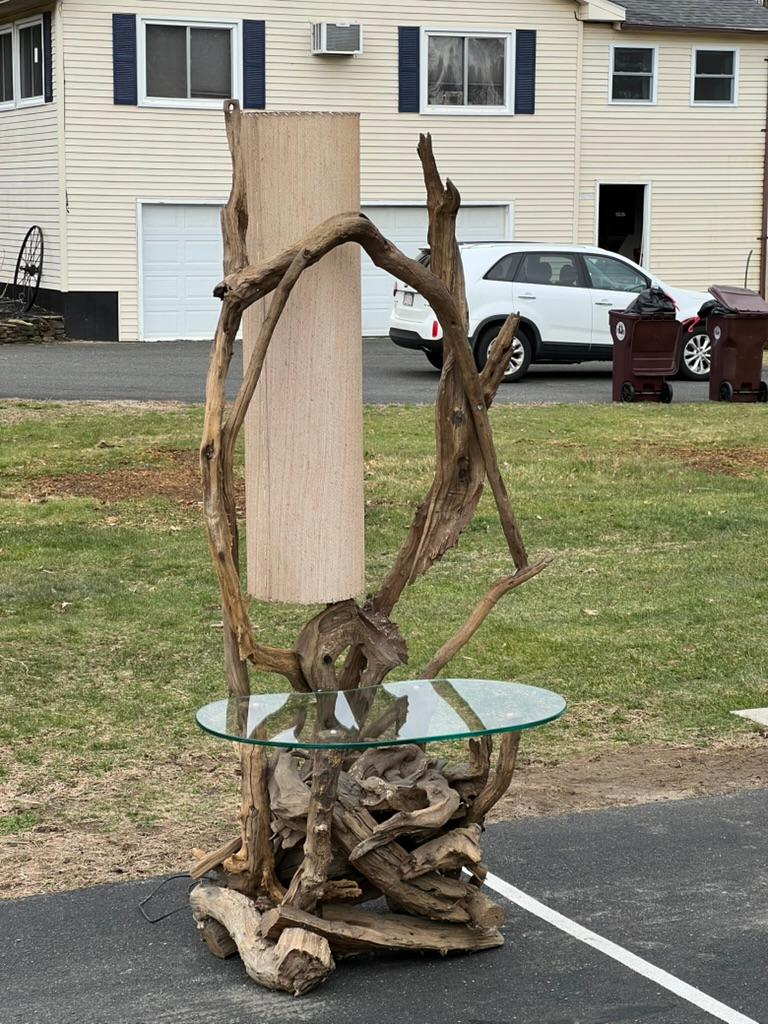 Wir stellen den Mid-Century Driftwood Lamp Table vor, eine faszinierende Verschmelzung von natürlicher Schönheit und modernem Design. Dieser aus Treibholz gefertigte Tisch zeigt die rohe und organische Ästhetik der Natur, wobei jedes Stück in seiner