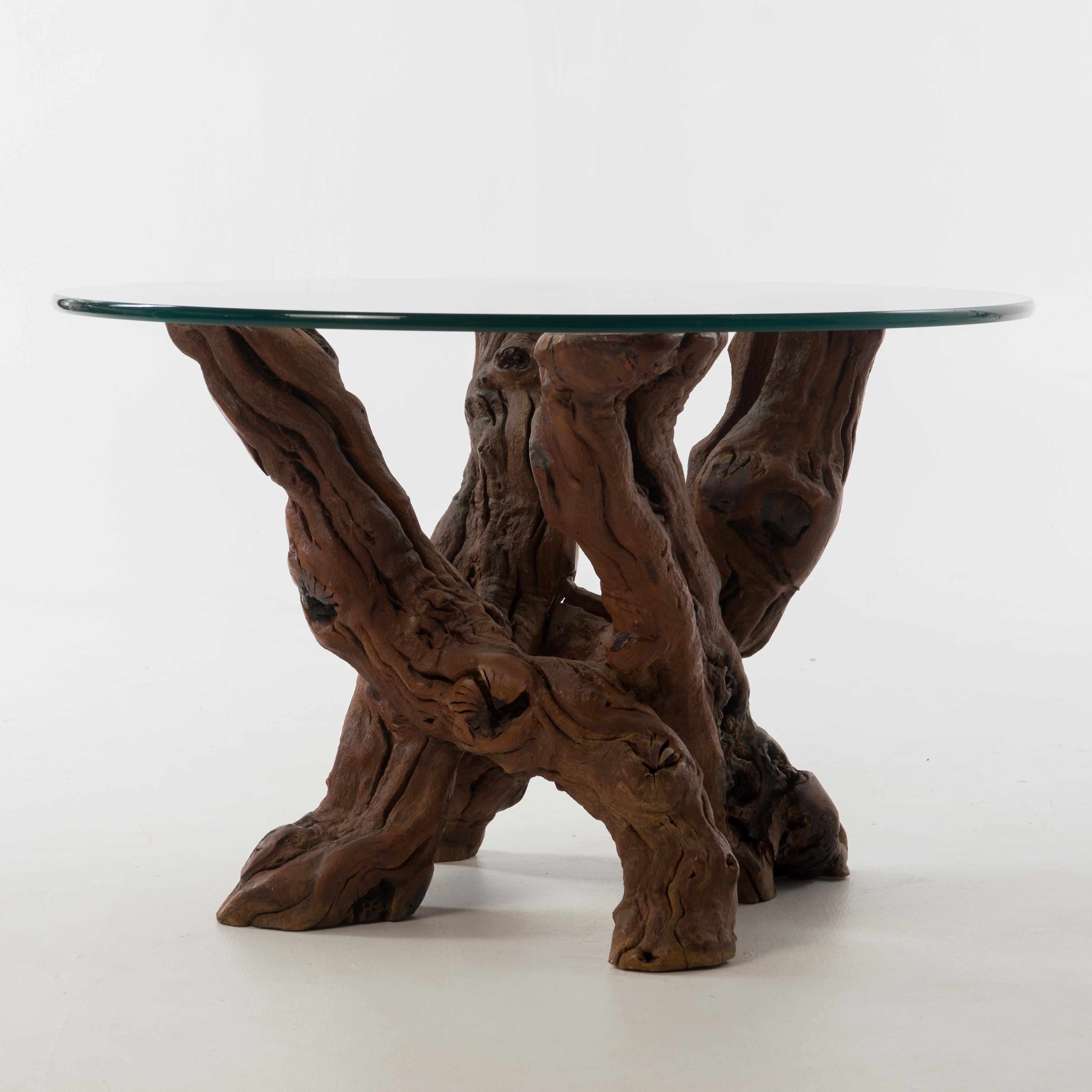 North American Midcentury Driftwood Root Coffee Table, 1970s