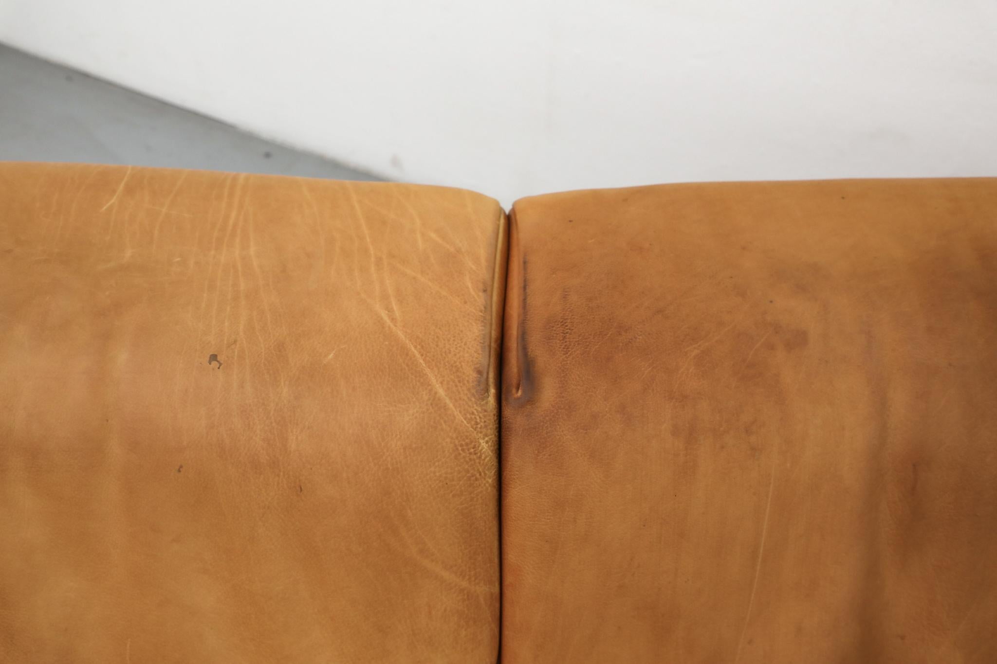 Holländisches Naturledersofa 'Havanna' von Gerard van den Berg aus der Jahrhundertmitte im Angebot 7