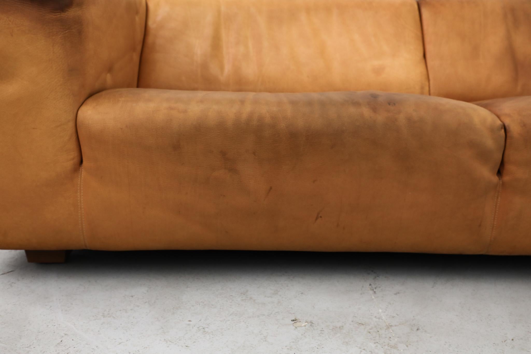 Holländisches Naturledersofa 'Havanna' von Gerard van den Berg aus der Jahrhundertmitte im Angebot 10