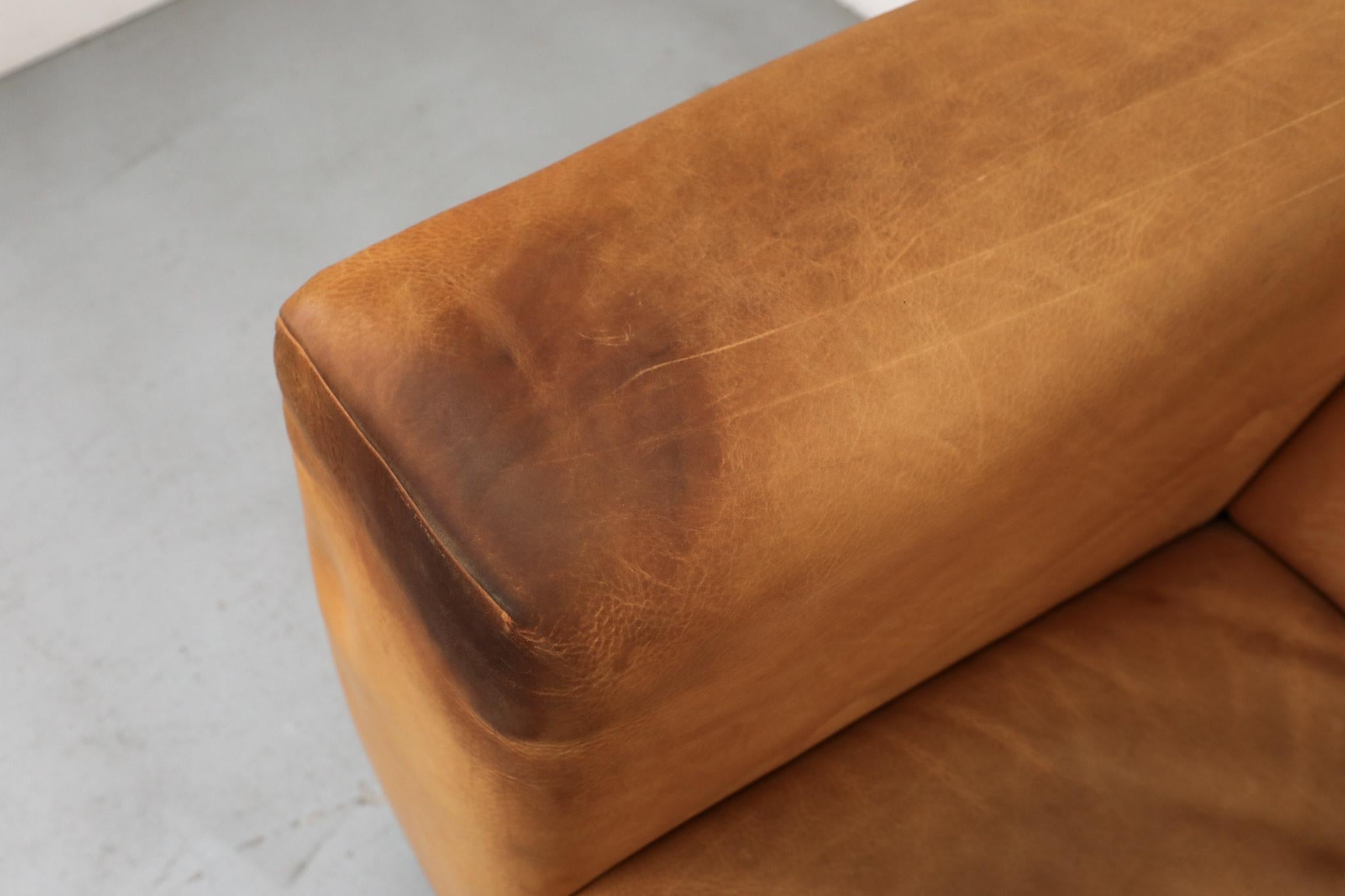 Holländisches Naturledersofa 'Havanna' von Gerard van den Berg aus der Jahrhundertmitte im Angebot 13
