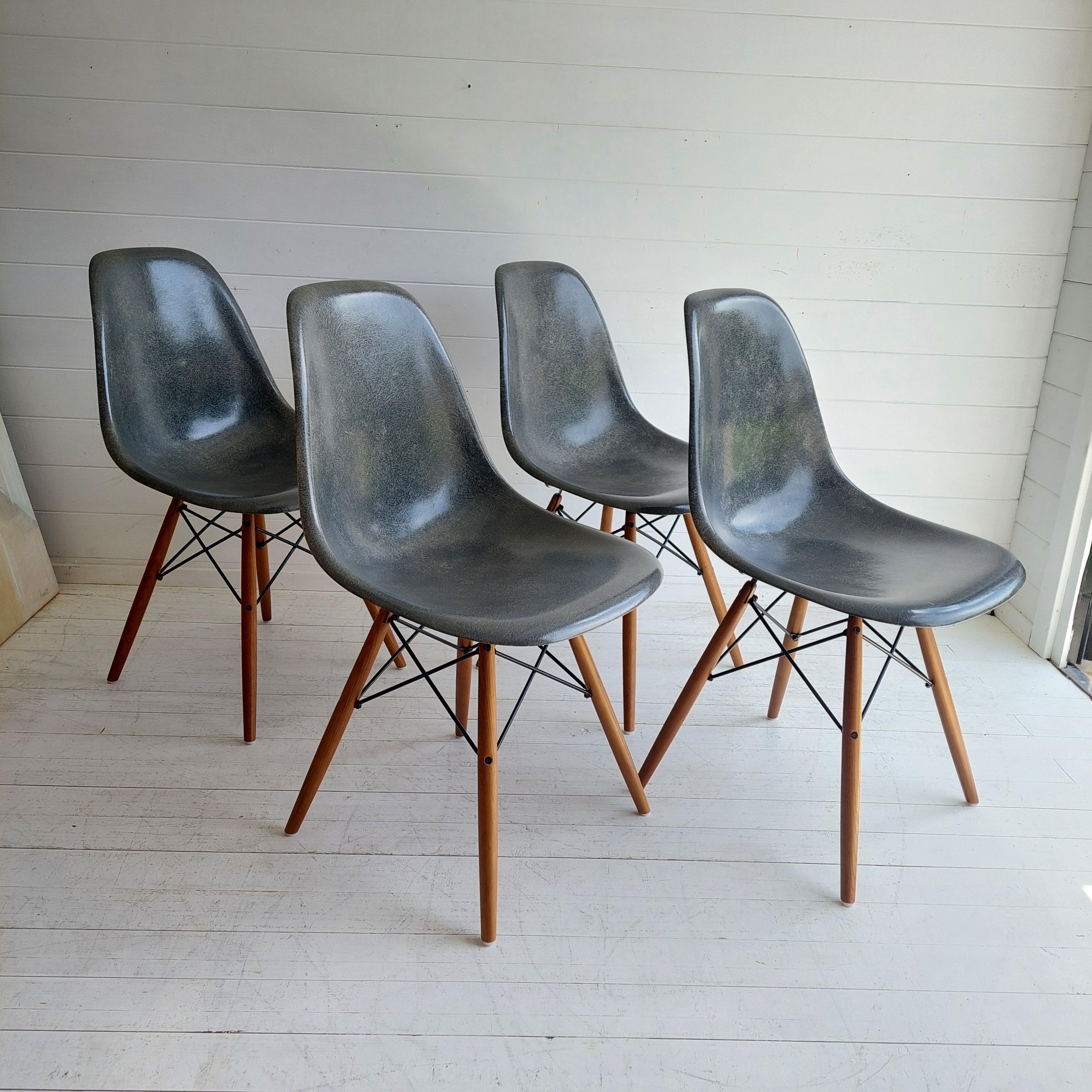 North American Mid Century Eames Herman Miller Dsw  Dining Chairs In Elephant Hide Grey, 1950s For Sale