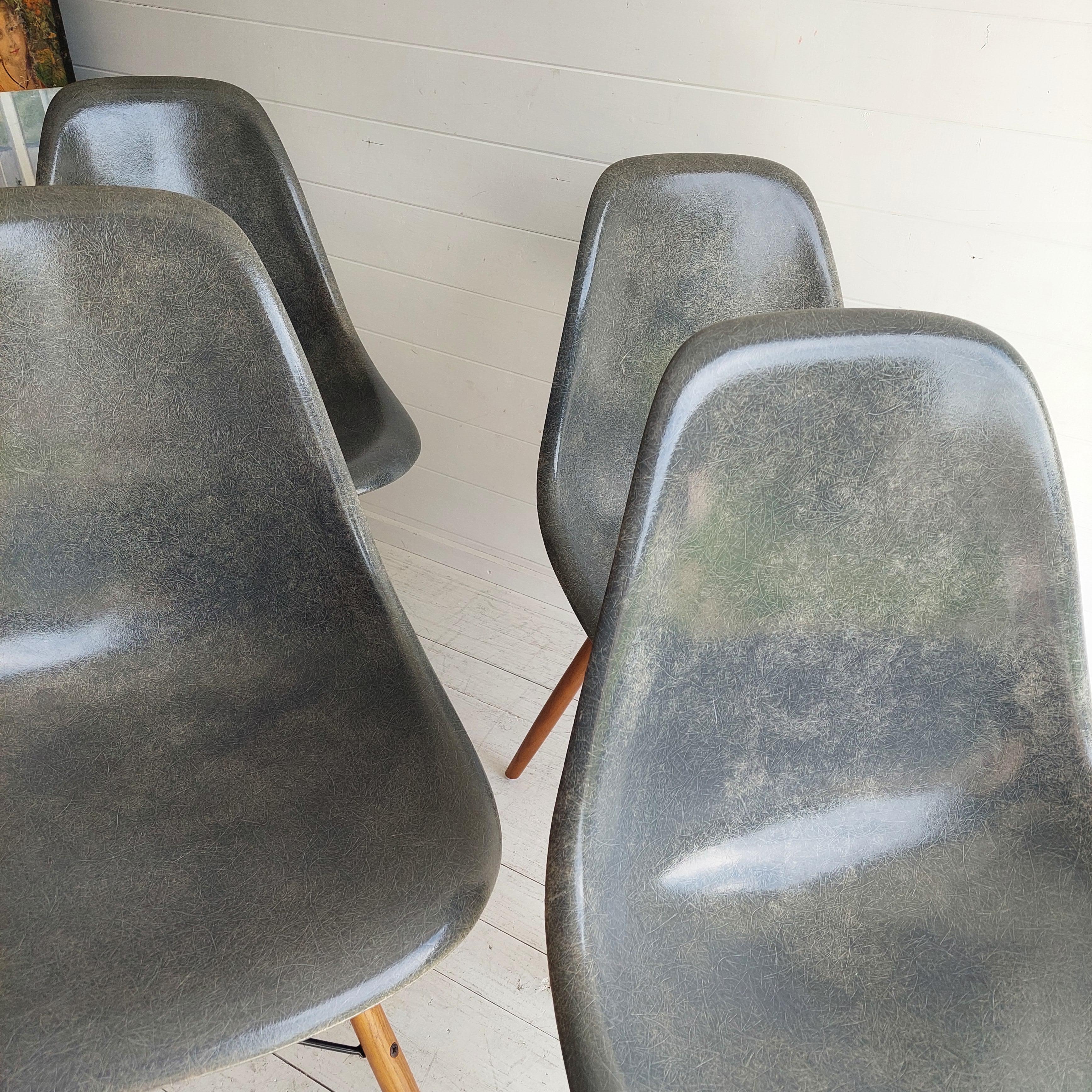 Mid Century Eames Herman Miller Dsw  Dining Chairs In Elephant Hide Grey, 1950s In Good Condition For Sale In Leamington Spa, GB