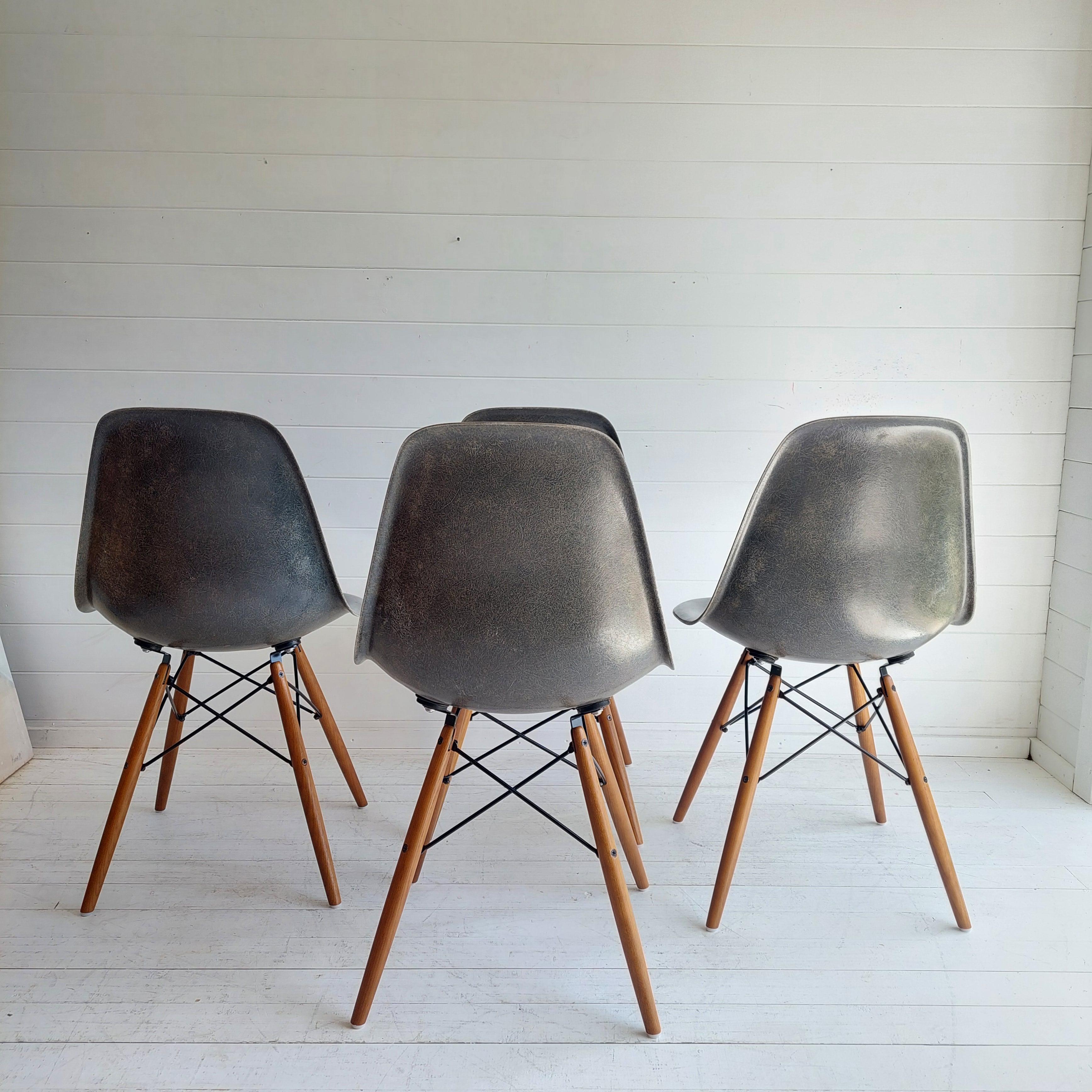 20th Century Mid Century Eames Herman Miller Dsw  Dining Chairs In Elephant Hide Grey, 1950s For Sale
