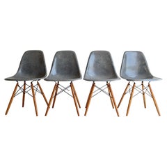 Mid Century Eames Herman Miller Dsw  Dining Chairs In Elephant Hide Grey, 1950s