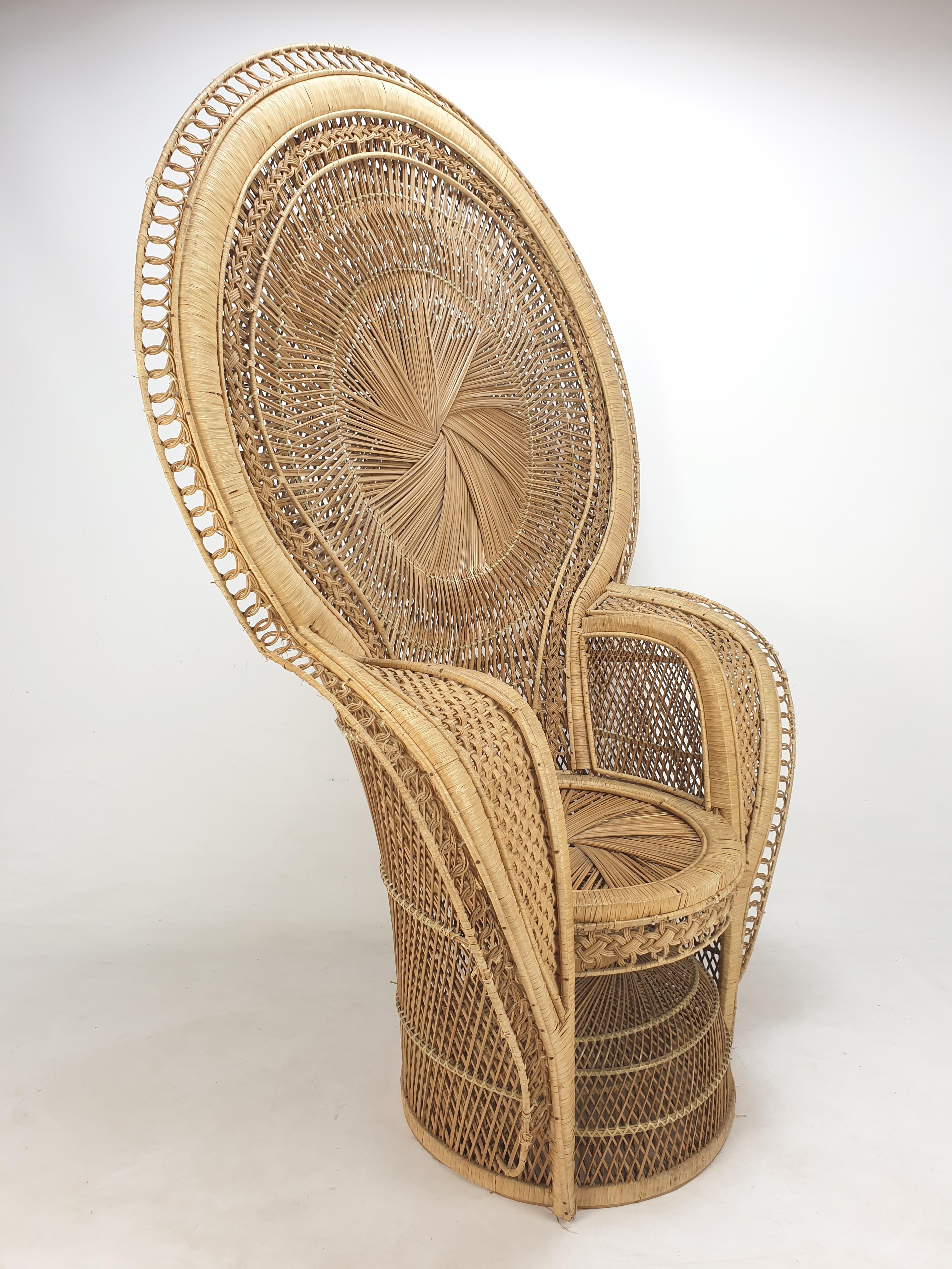 Midcentury Emmanuelle or Peacock Rattan and Wicker Chair, Italy 1960s For Sale 1