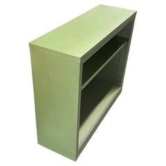 Consola librería de discos de vinilo en acero esmaltado verde de mediados de siglo
