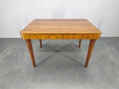 Mid-Century Extendable Dining Table by UP Závody, Czechoslovakia 1950s