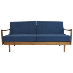 Midcentury Extendable Sofa Daybed by Wilhelm Knoll for Knoll Antimott, 1950s