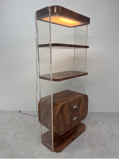 Mid-Century Faux Burlwood Veneer and Lucite Bookcase or Etagere, 1970s