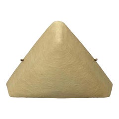 Deckenleuchte aus Fiberglas aus der Mitte des Jahrhunderts, 1960er Jahre