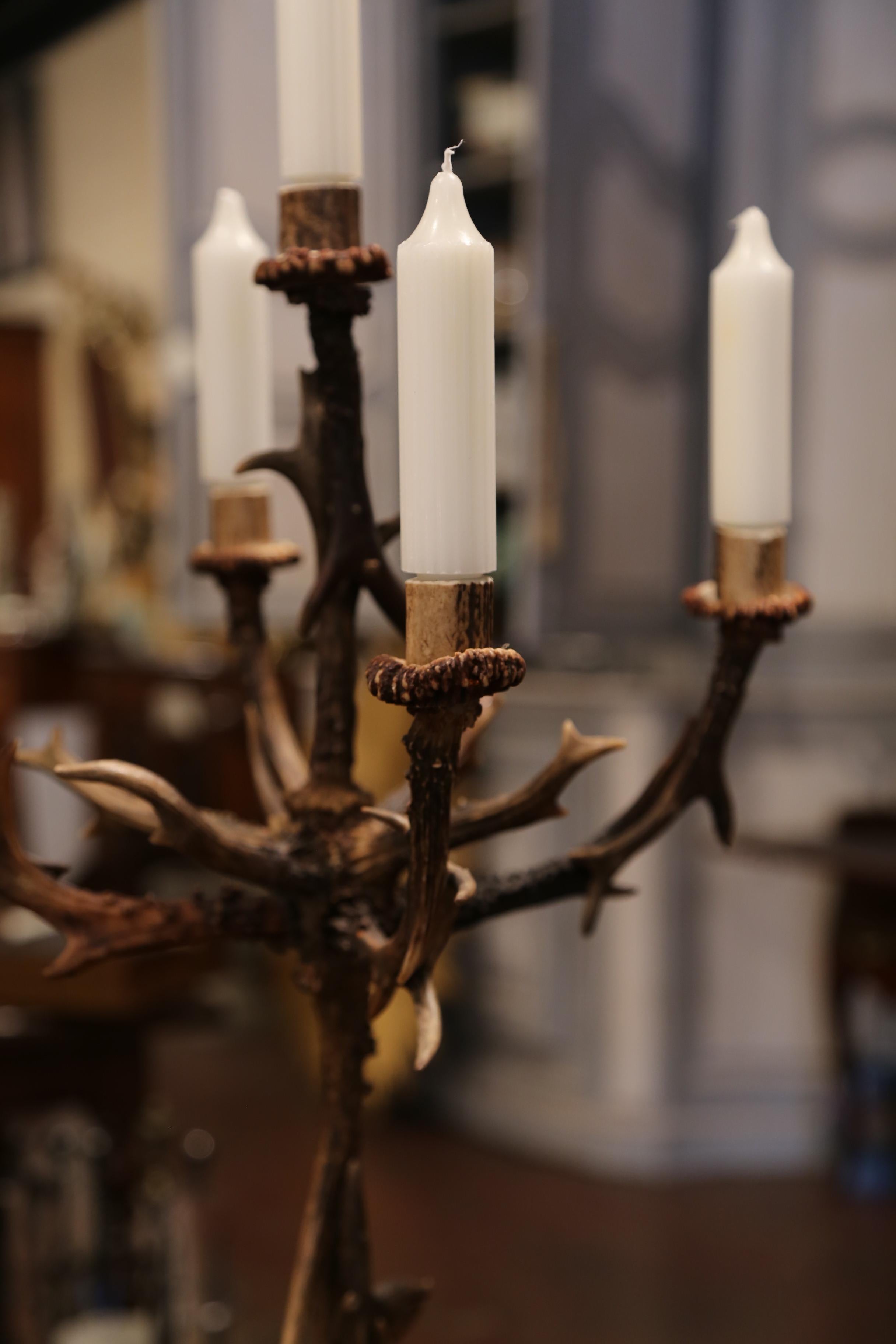 20th Century Midcentury Five-Arm Candelabra Made with Deer Antlers