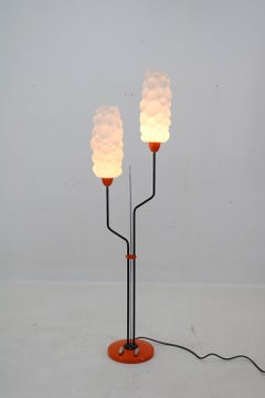 Mid-Century Floor Lamp, 1960s, Restored