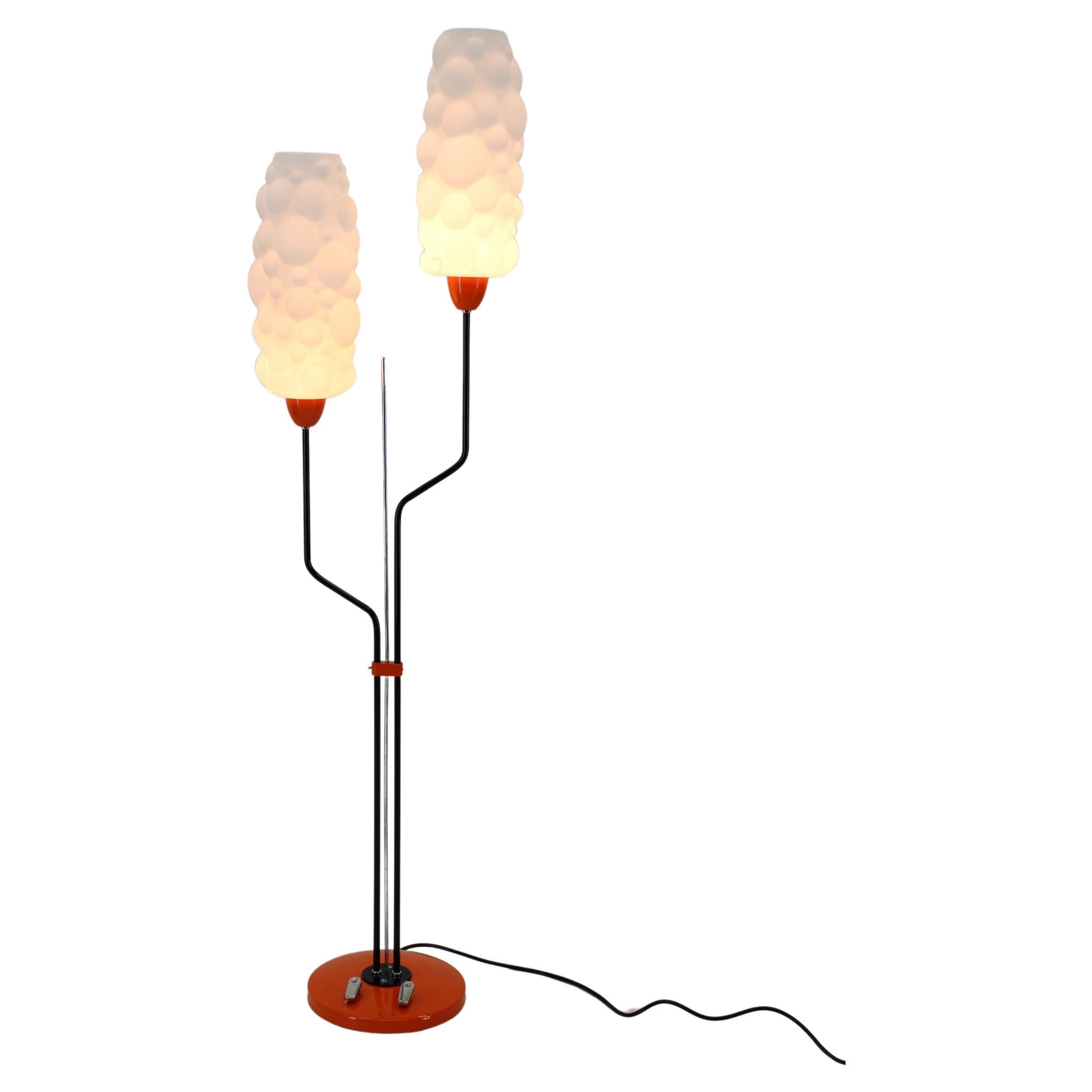 Mid-Century Floor Lamp, 1960s, Restored For Sale