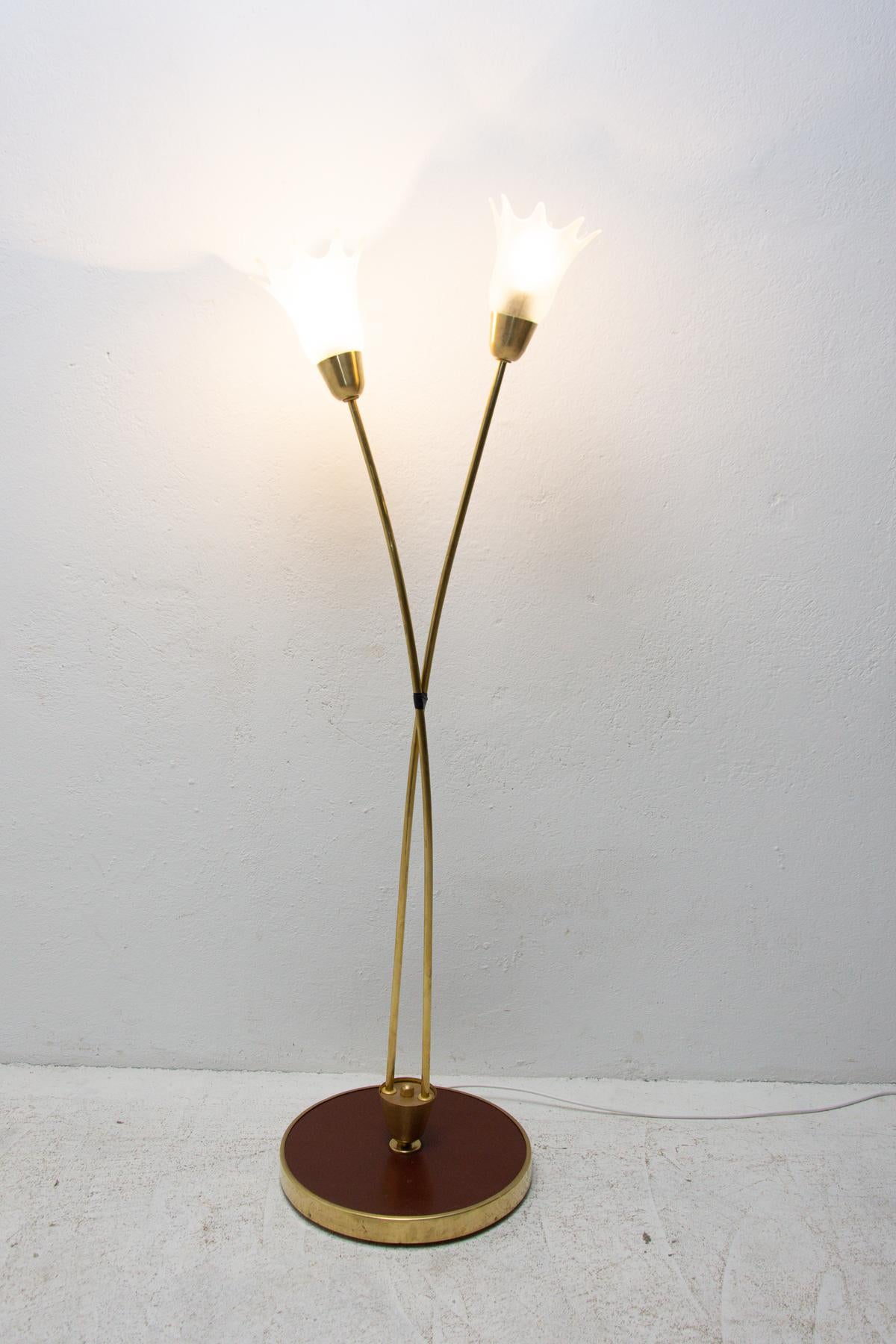 This standing lamp is a typical example of Czechoslovak lightings from the mid century associated with “Brussels period” and world-renowned EXPO58. Nickel-plated construction, two frosted glass lampshades. New wiring. In good Vintage