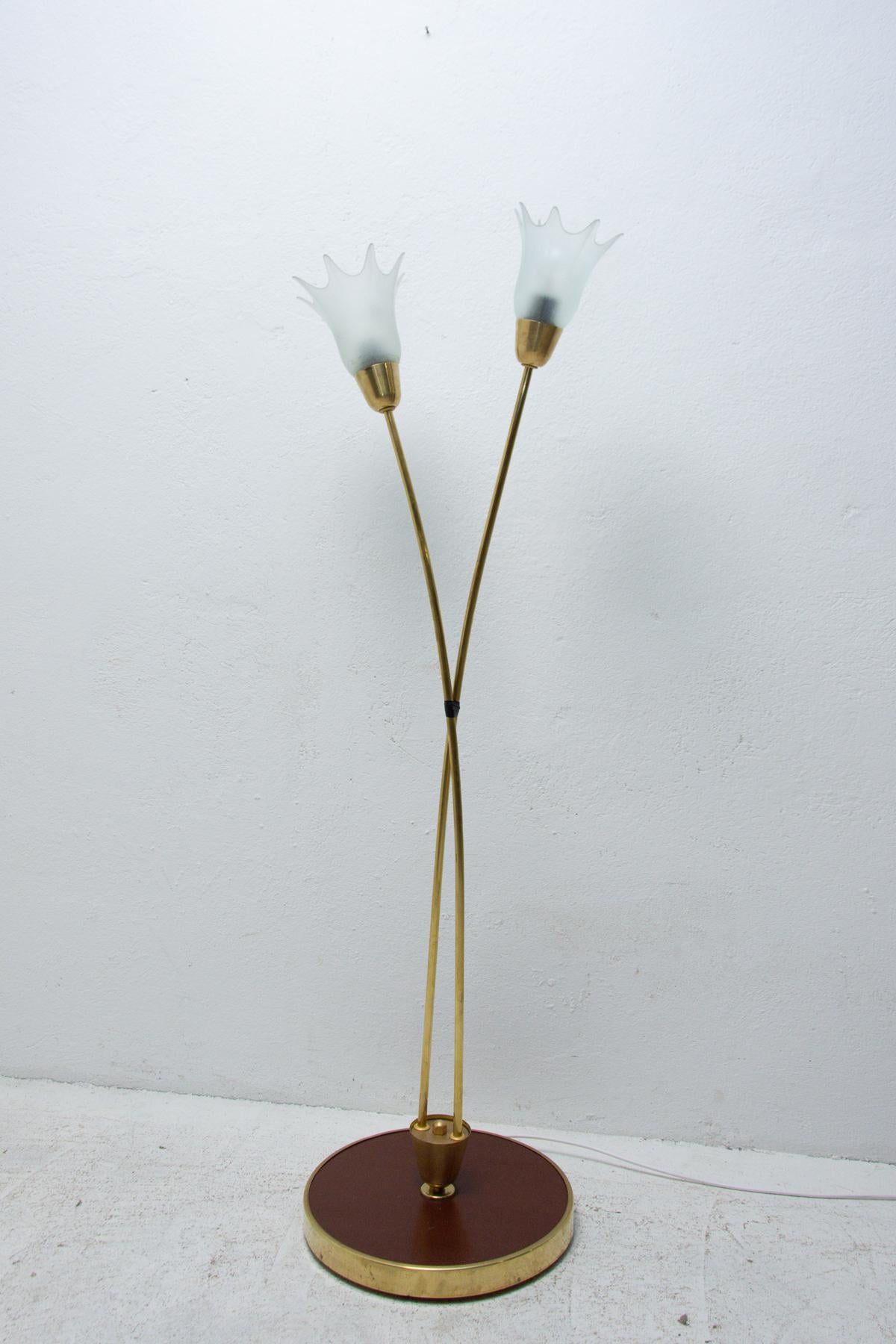 Frosted Mid Century Floor Lamp, Brussels Period, 1960´s For Sale