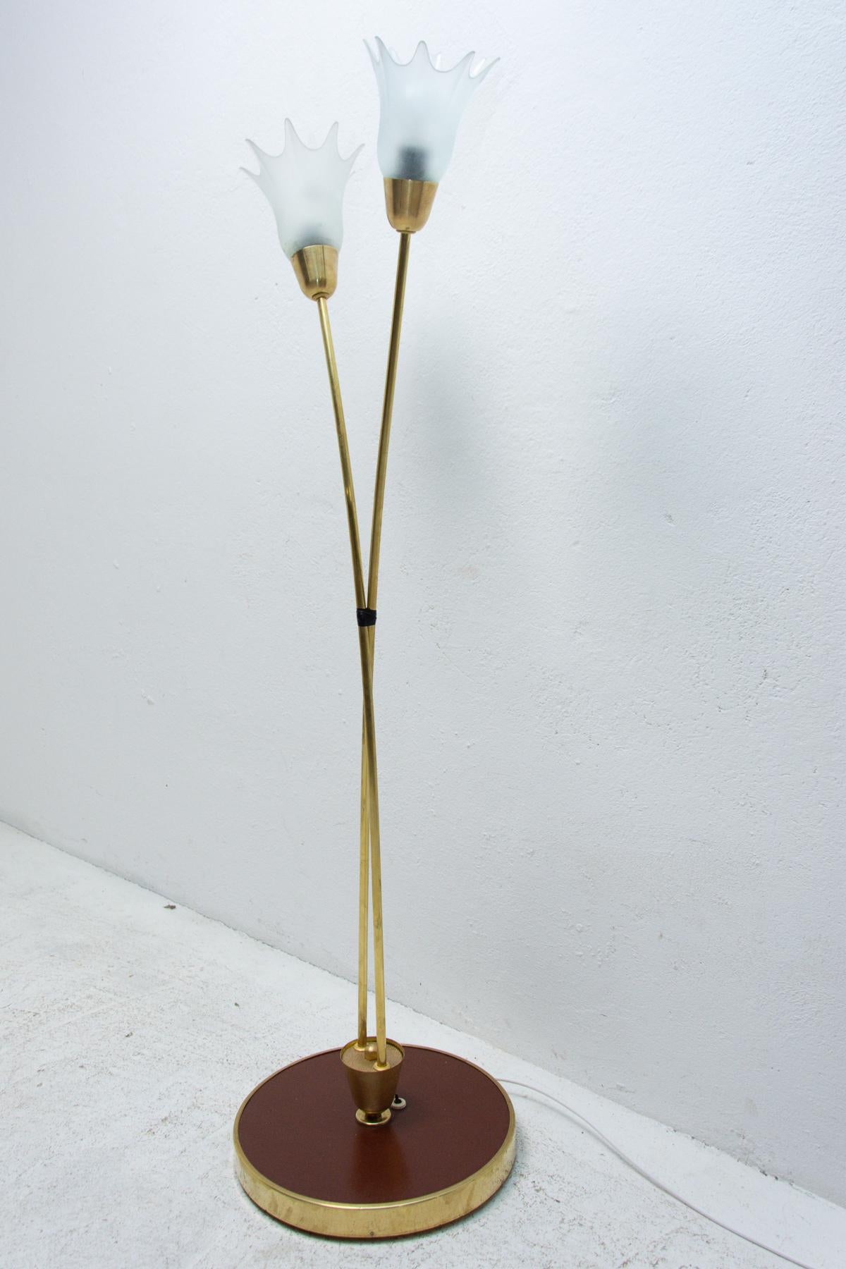20th Century Mid Century Floor Lamp, Brussels Period, 1960´s For Sale