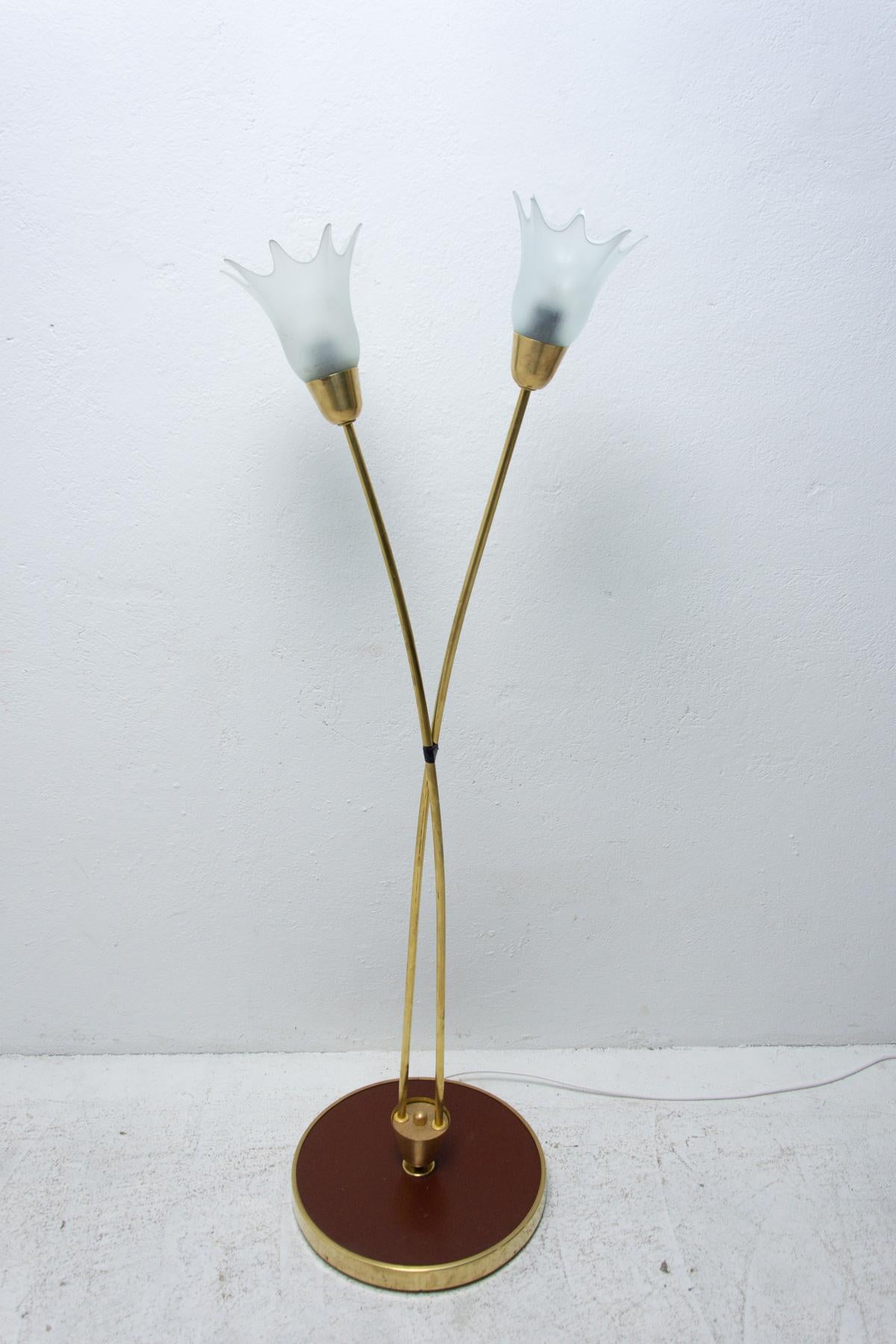 Mid Century Floor Lamp, Brussels Period, 1960´s For Sale 1