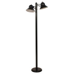 Lampada da terra di metà secolo di Gae Aulenti per Stilnovo in Greene & Greene, circa 1975