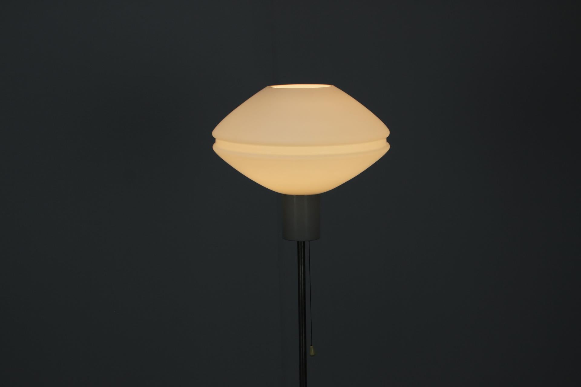 Lampadaire du milieu du siècle par Kamenický Šenov, 1970, Tchécoslovaquie en vente 4