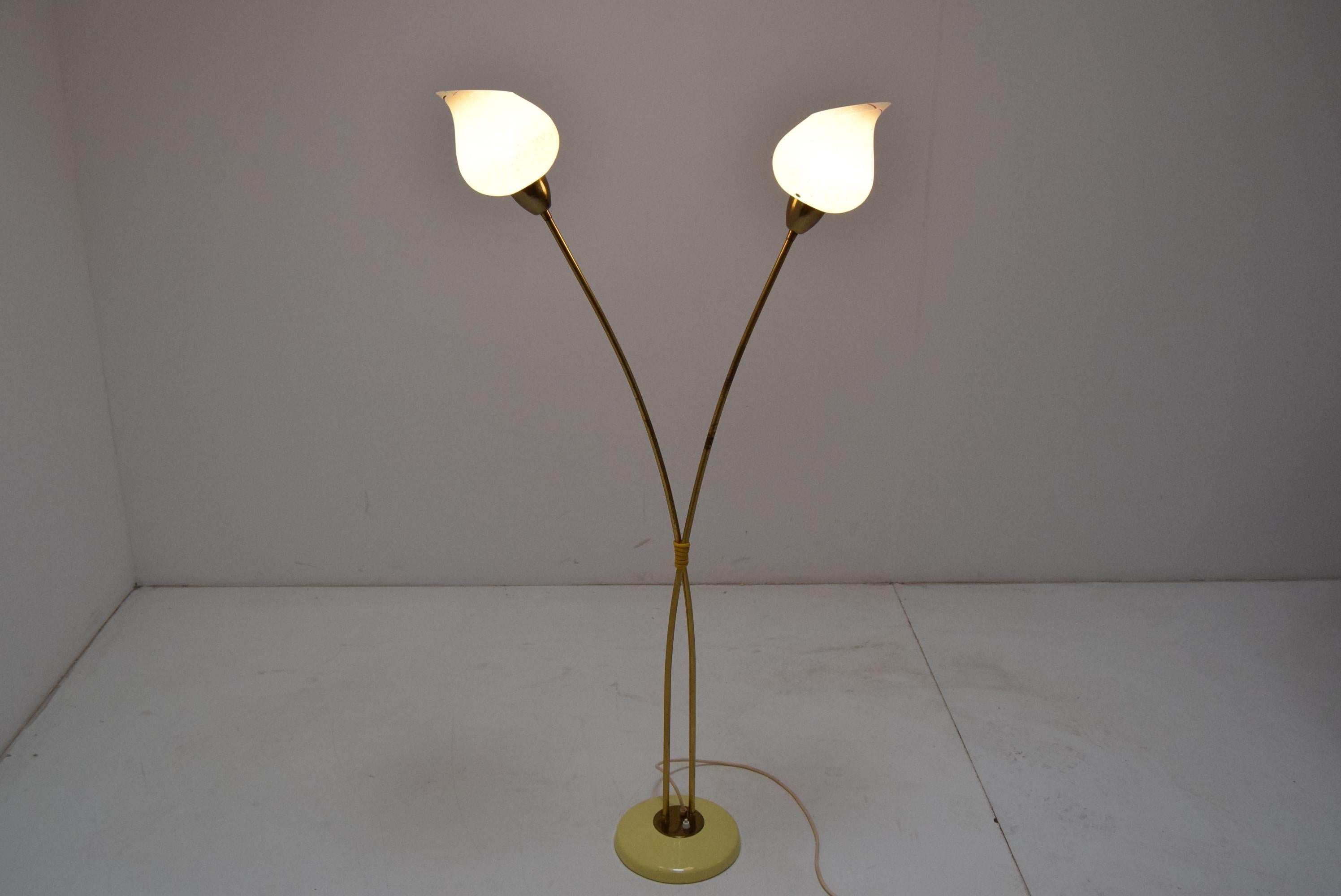 Mid-Century Modern Mid-Century Floor Lamp by Kamenicky Senov, 1950‘s For Sale