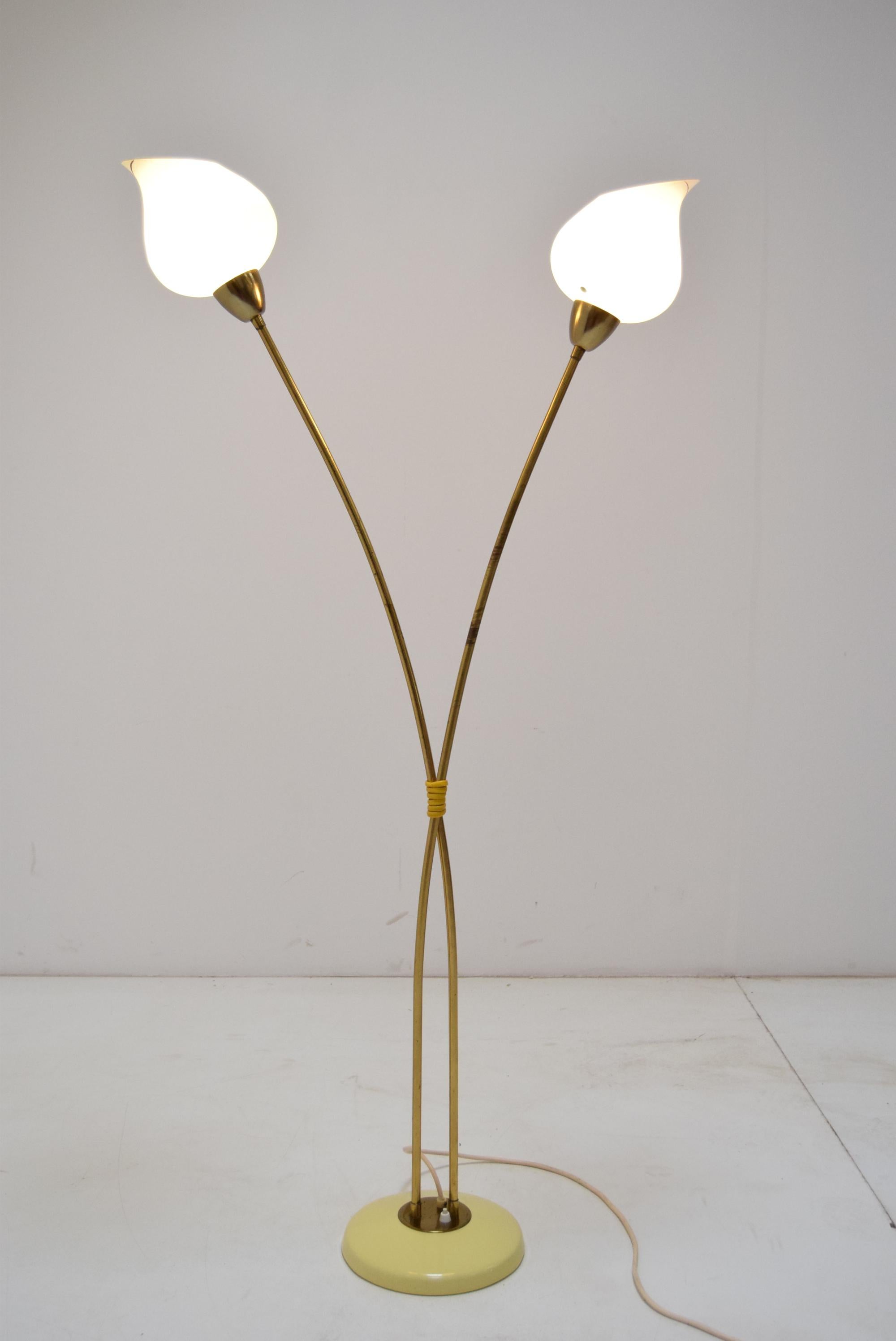 Czech Mid-Century Floor Lamp by Kamenicky Senov, 1950‘s For Sale