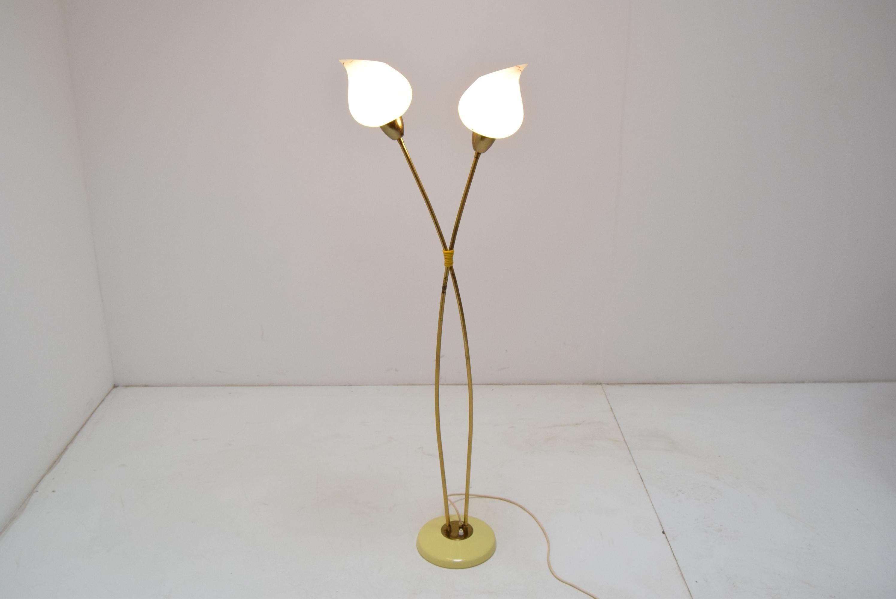Mid-20th Century Mid-Century Floor Lamp by Kamenicky Senov, 1950‘s For Sale