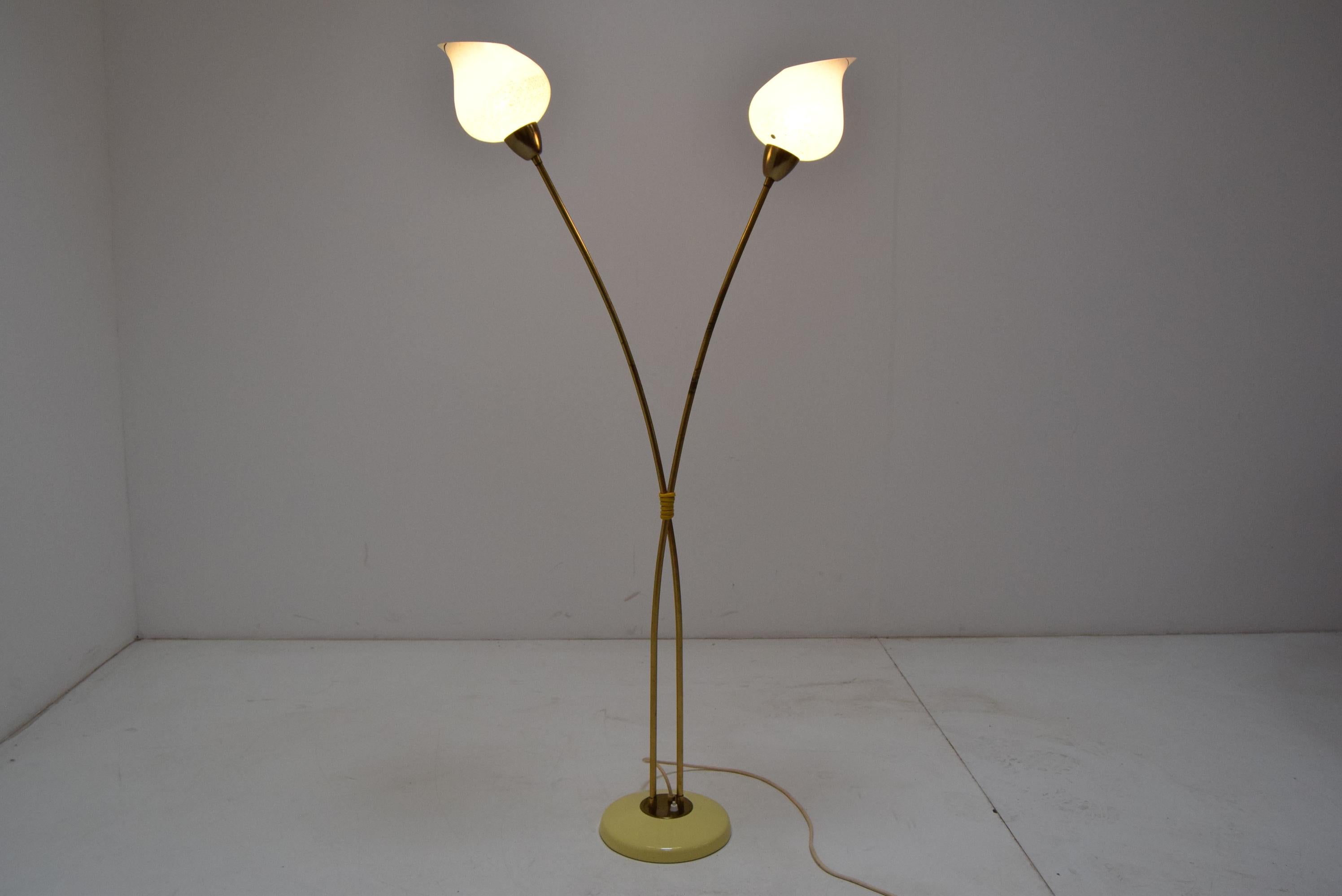 Mid-Century Floor Lamp by Kamenicky Senov, 1950‘s For Sale 1