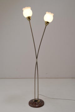 Mid-Century Floor Lamp by Kamenicky Senov, 1960’s