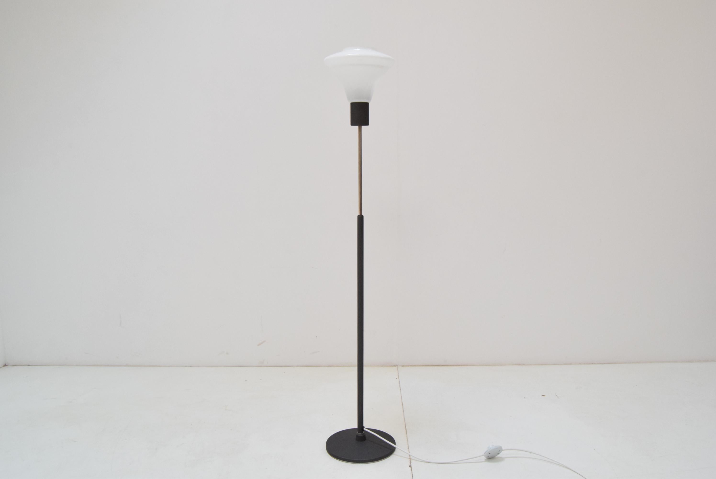 Stehlampe aus der Mitte des Jahrhunderts von Kamenicky Senov, 1960er Jahre (Moderne der Mitte des Jahrhunderts) im Angebot