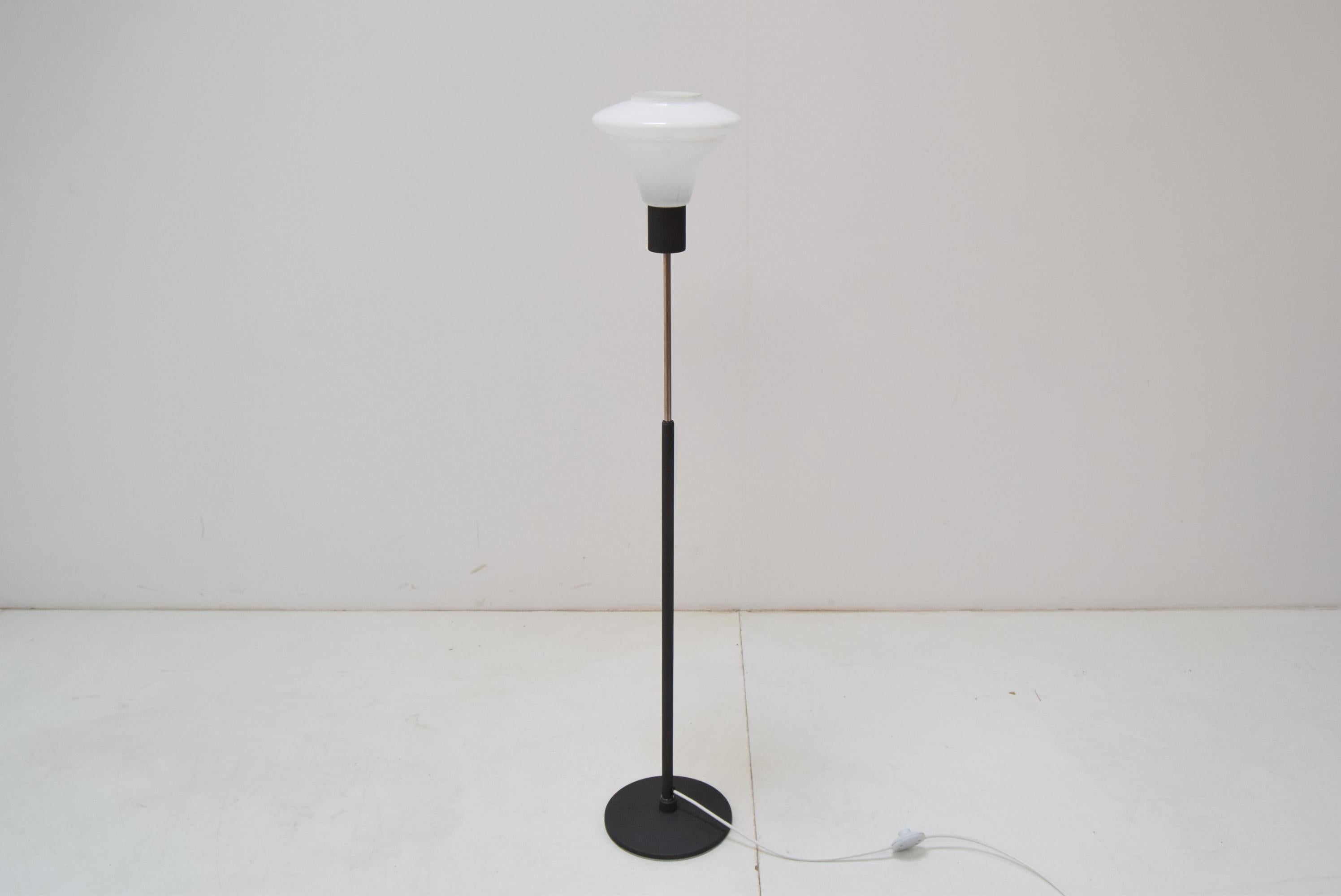 Czech Mid-Century Floor Lamp by Kamenicky Senov, 1960‘s For Sale