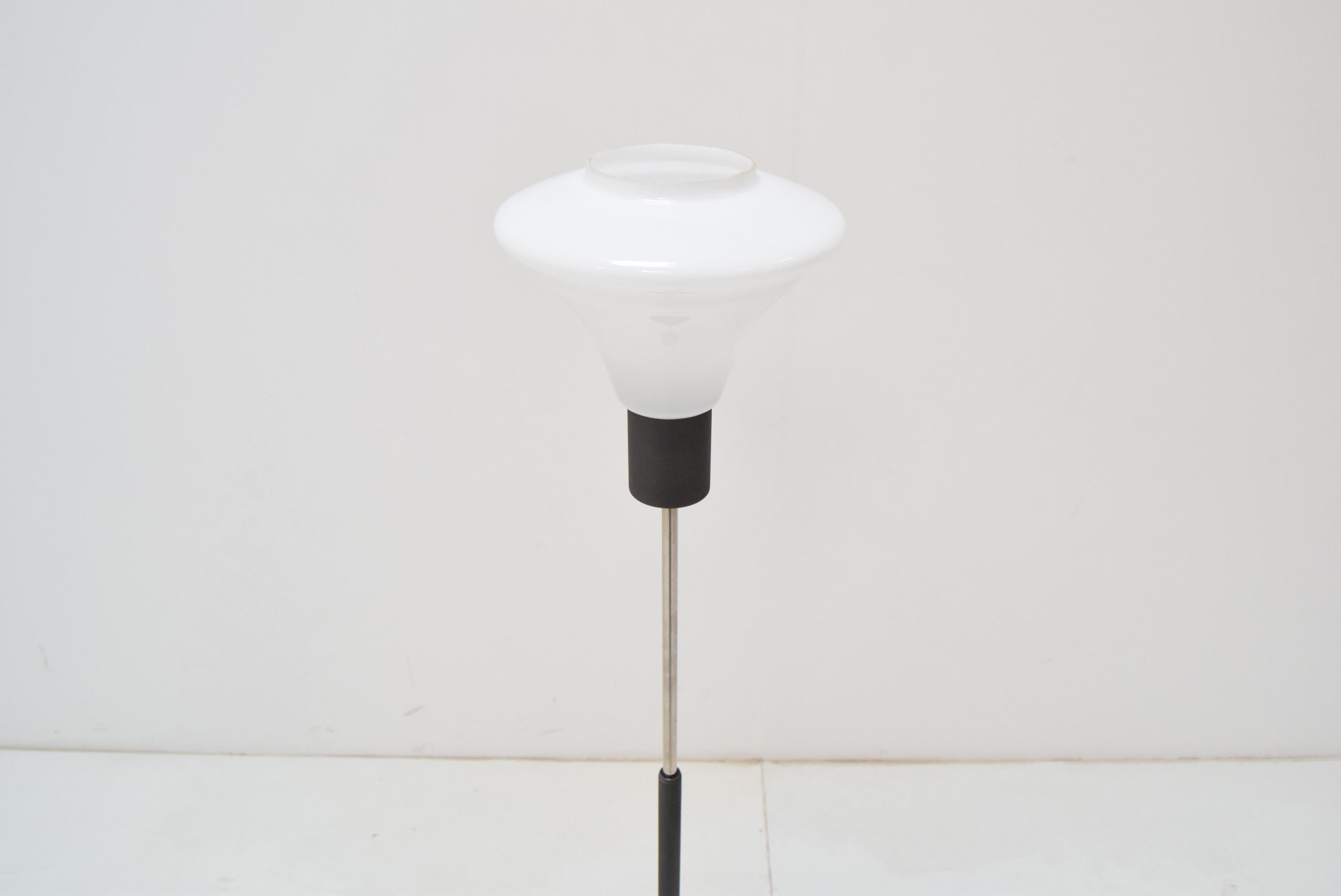 Mid-Century Floor Lamp by Kamenicky Senov, 1960‘s In Good Condition For Sale In Praha, CZ