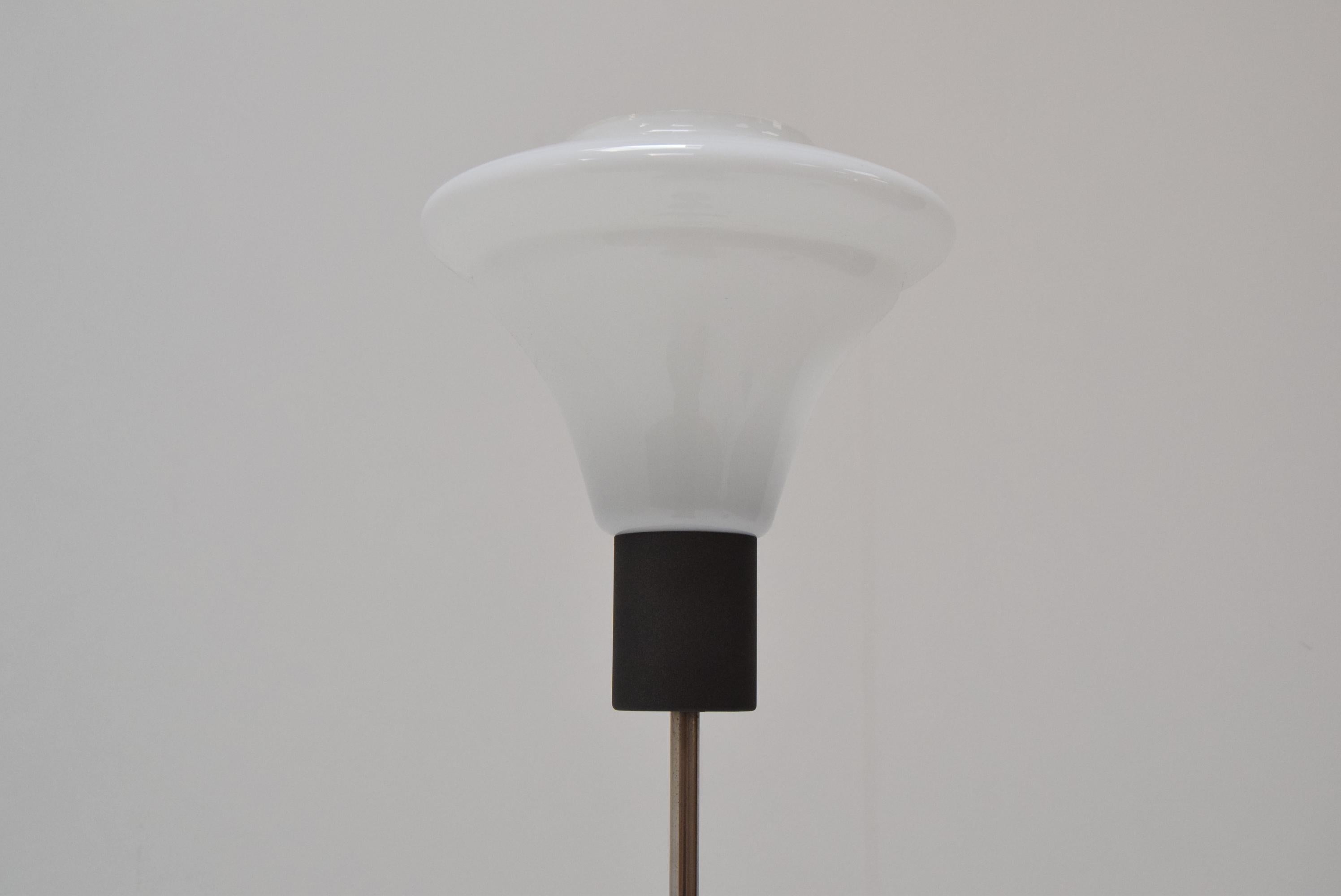 Stehlampe aus der Mitte des Jahrhunderts von Kamenicky Senov, 1960er Jahre (Mitte des 20. Jahrhunderts) im Angebot