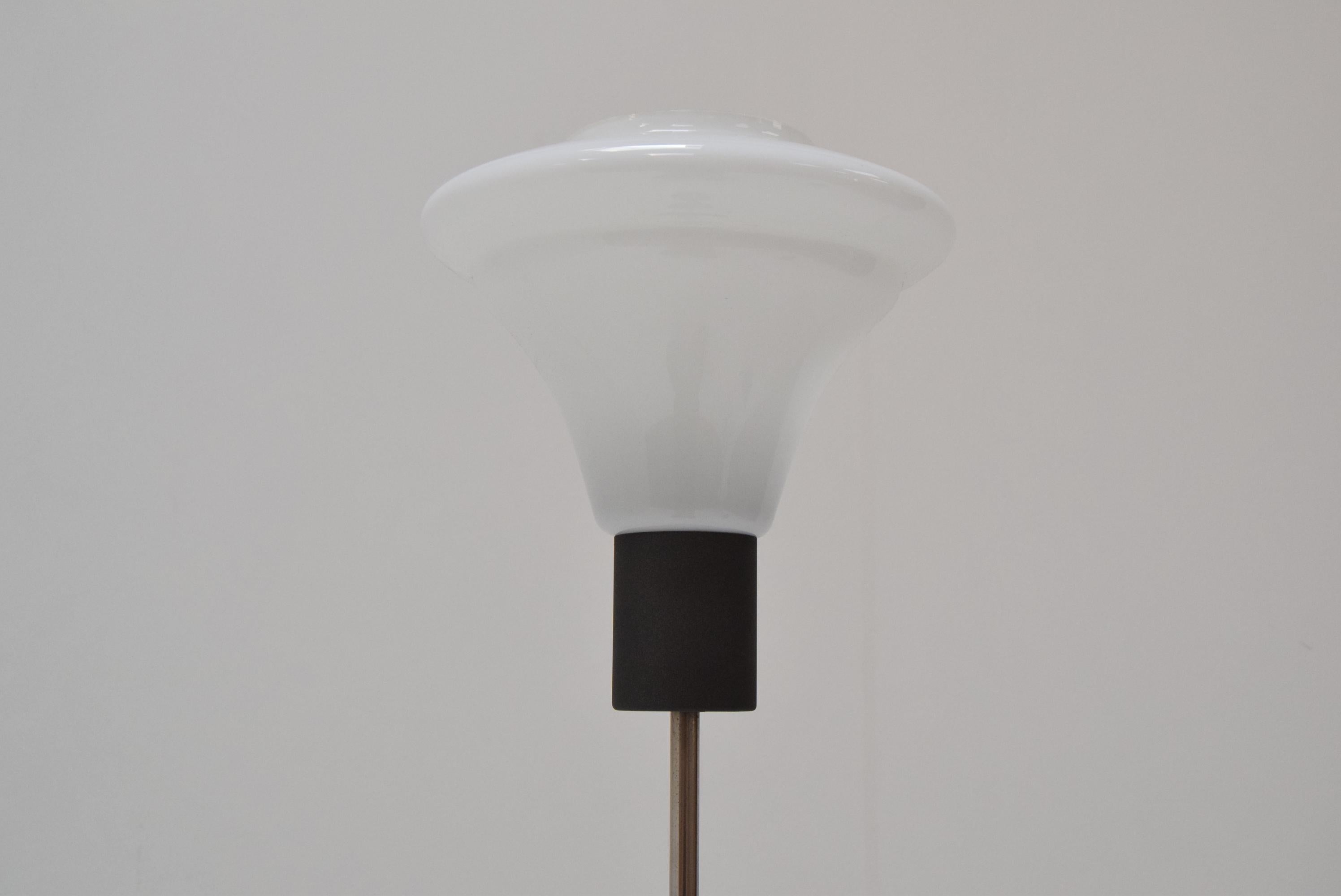 Metà XX secolo Lampada da terra di metà secolo di Kamenicky Senov, anni '1960 in vendita