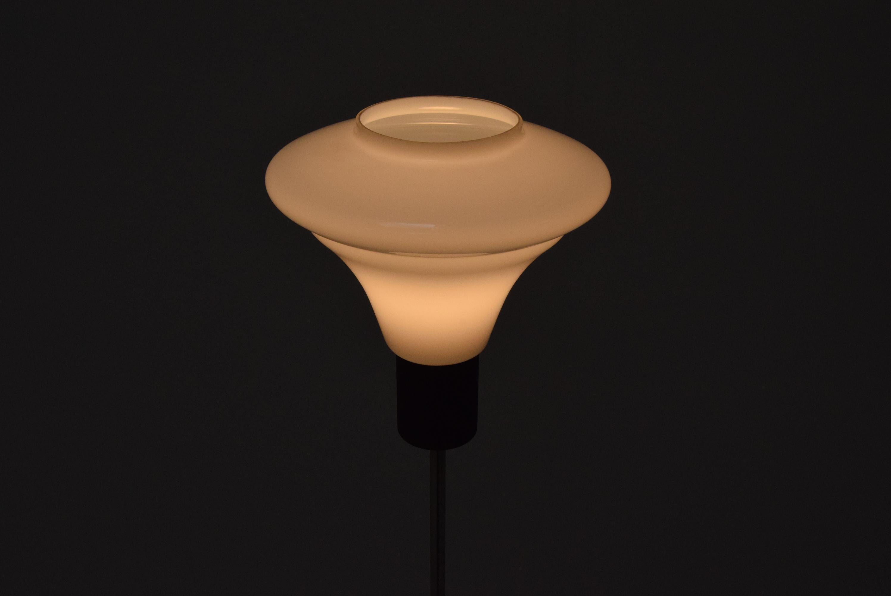 Stehlampe aus der Mitte des Jahrhunderts von Kamenicky Senov, 1960er Jahre im Angebot 1
