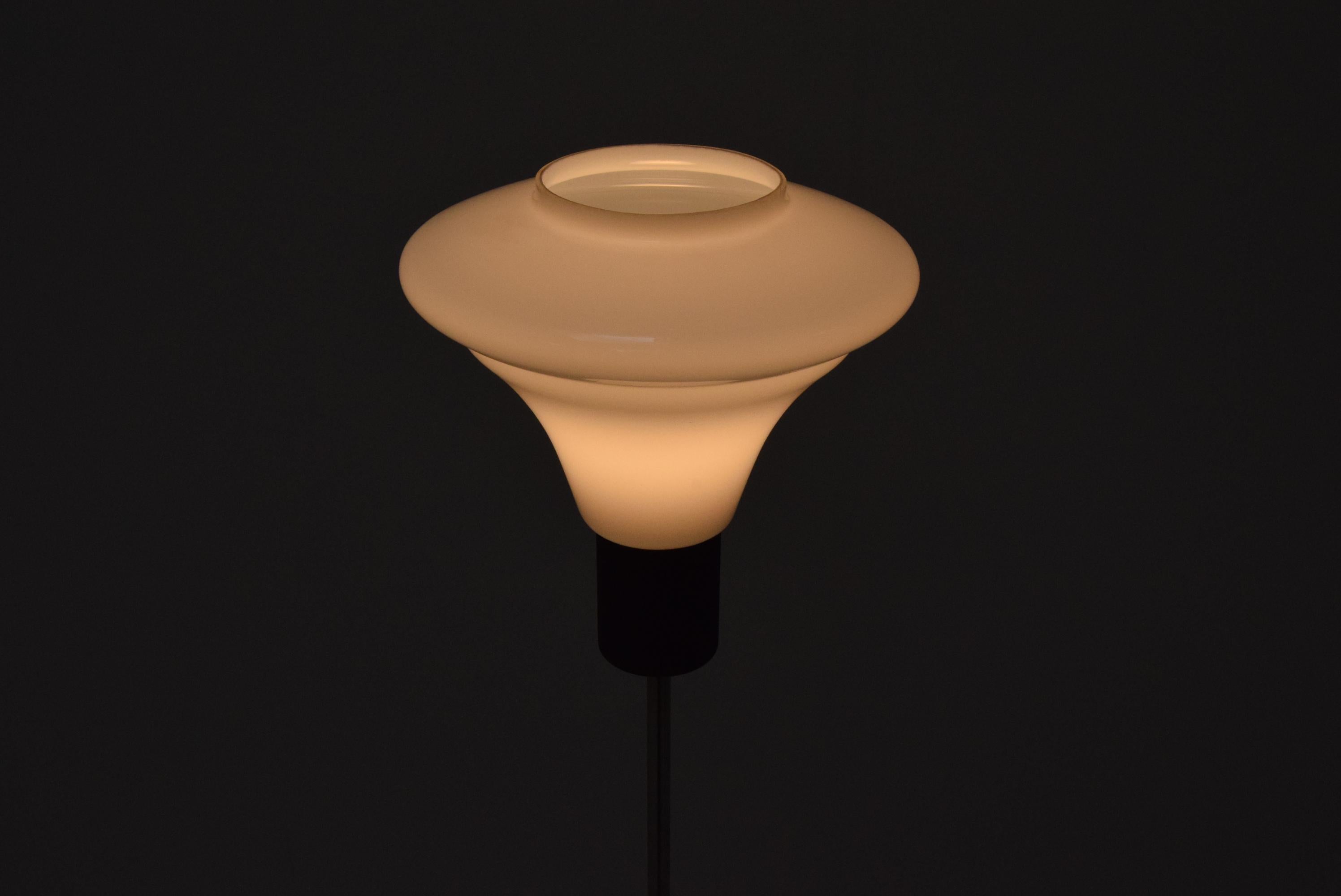 Lampada da terra di metà secolo di Kamenicky Senov, anni '1960 in vendita 1