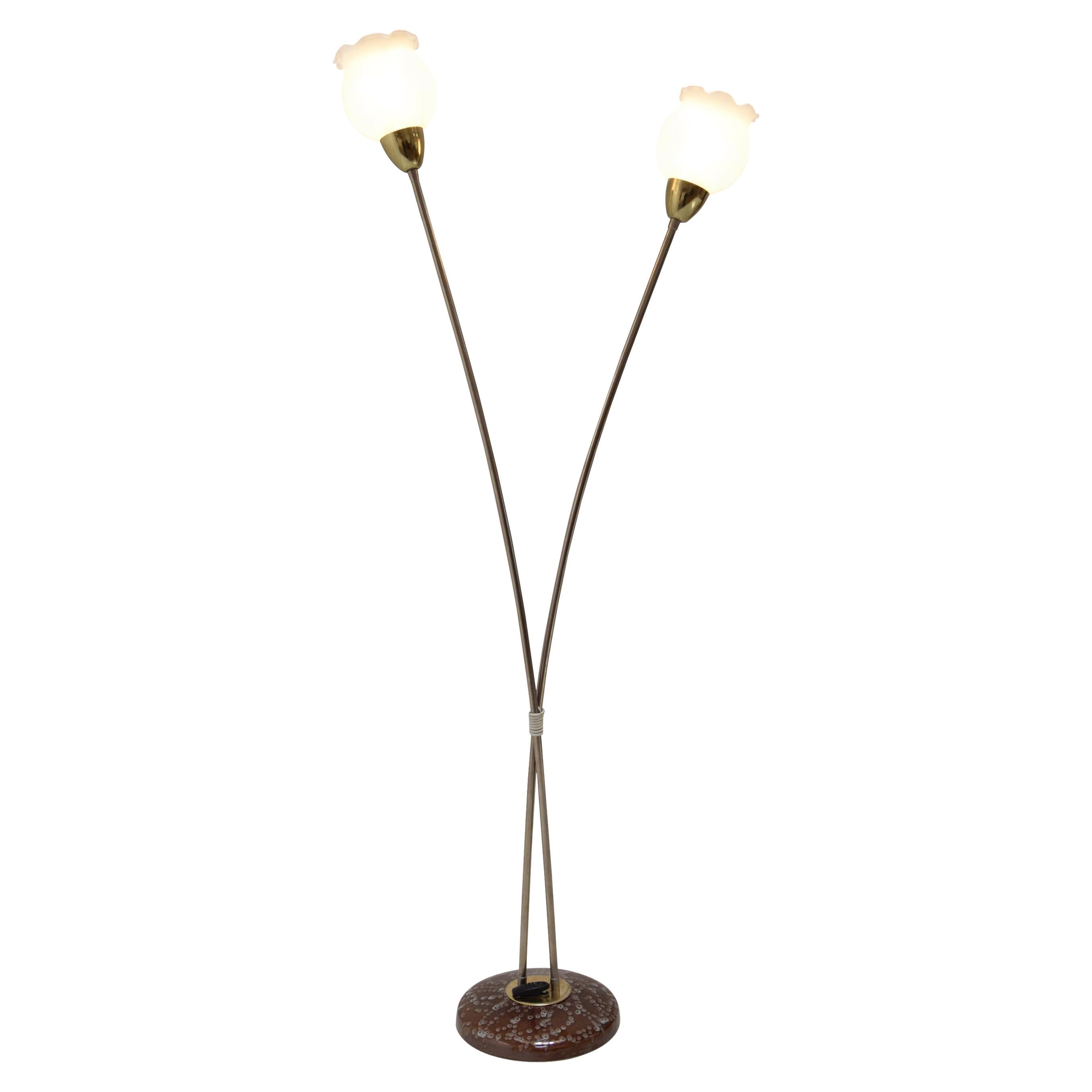 Mid-Century Floor Lamp by Kamenicky Senov, 1960’s