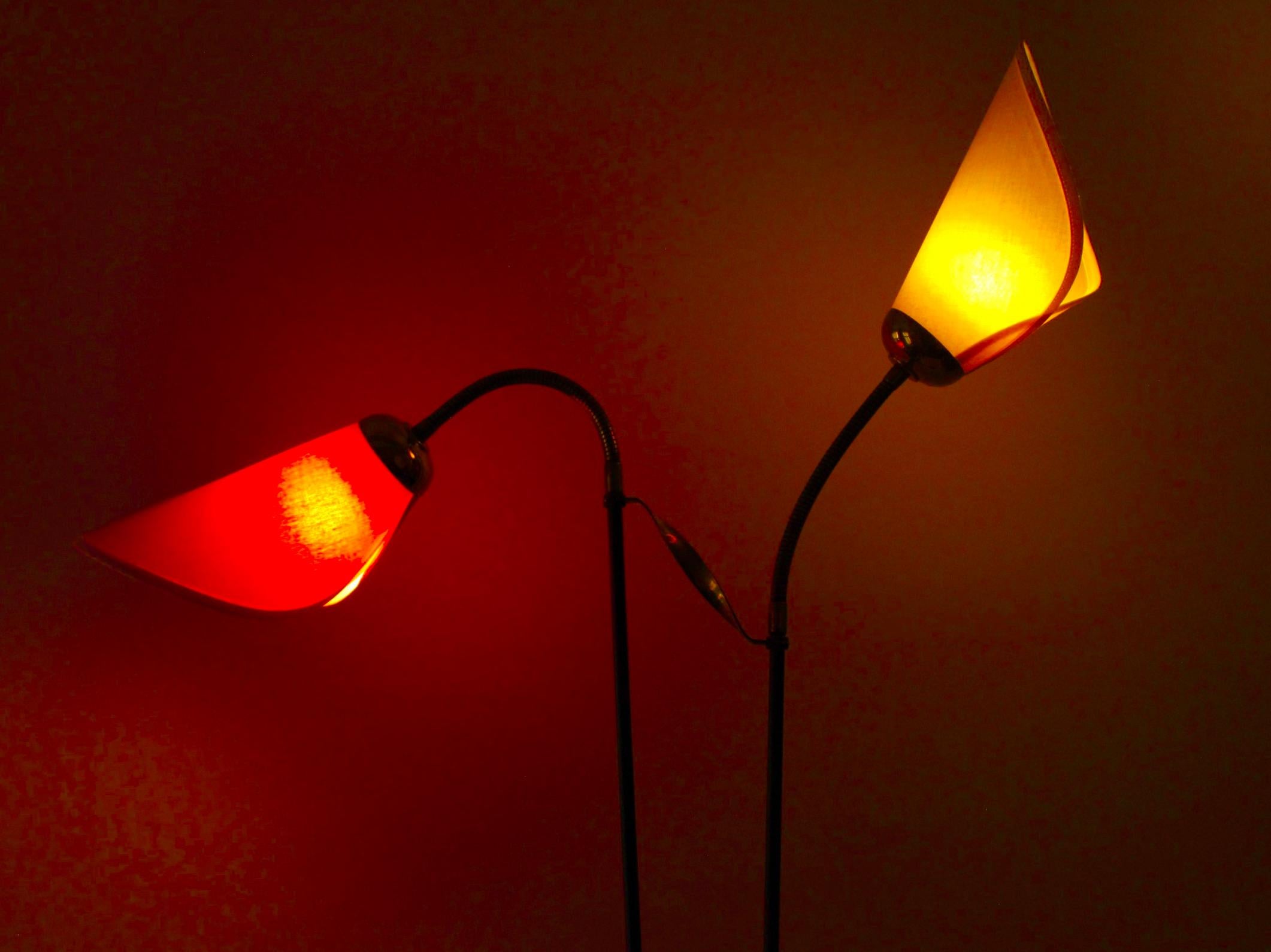 Mid-century Floor Lamp from Italy with Two Shades mounted on flexible arms For Sale 10
