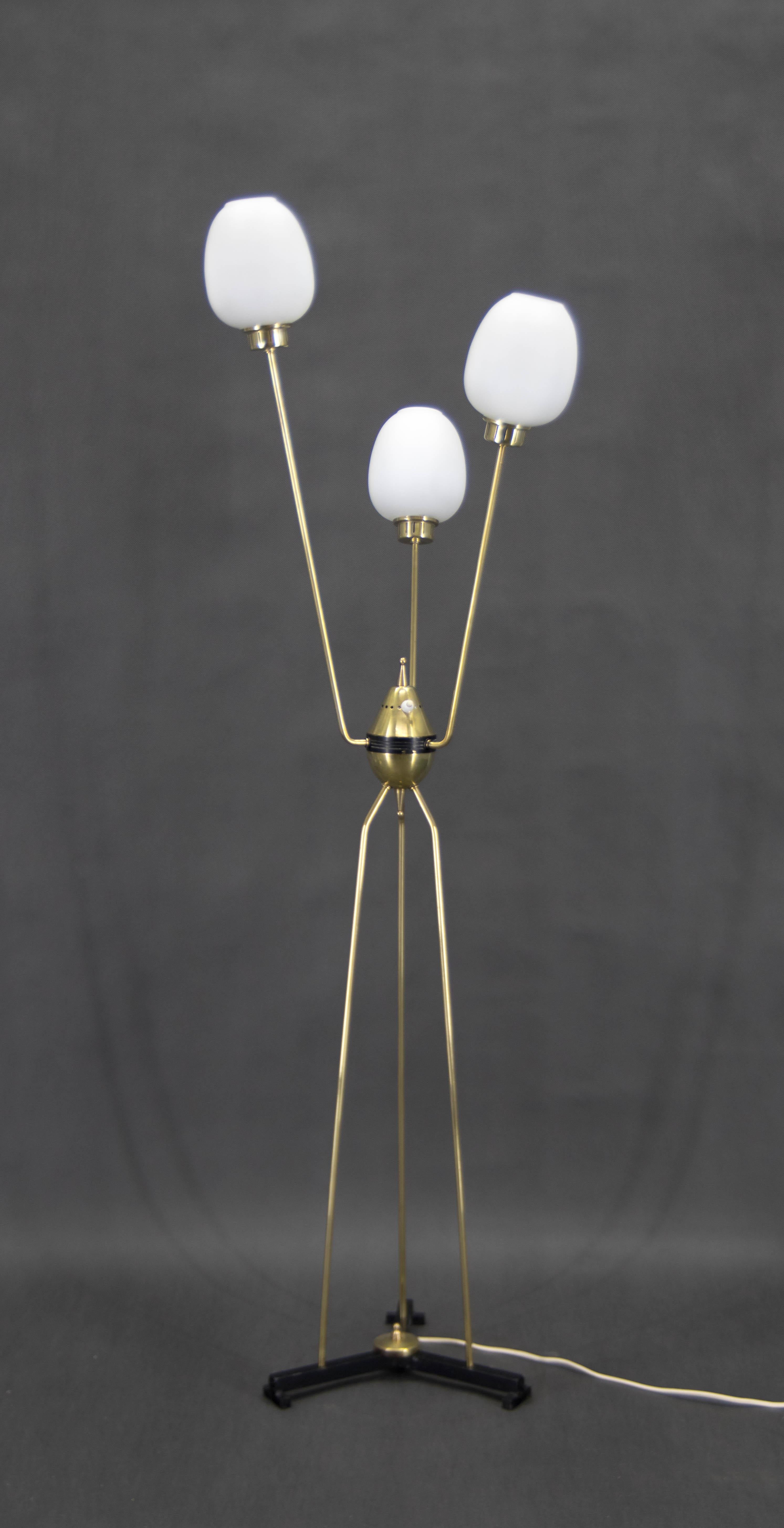 Three arms Mid-Century Italian floor lamp made of brass and opaline glass.
Very good original condition.
3x40W, E12-E14 bulbs
US plug adapter included
Shipping quote on request