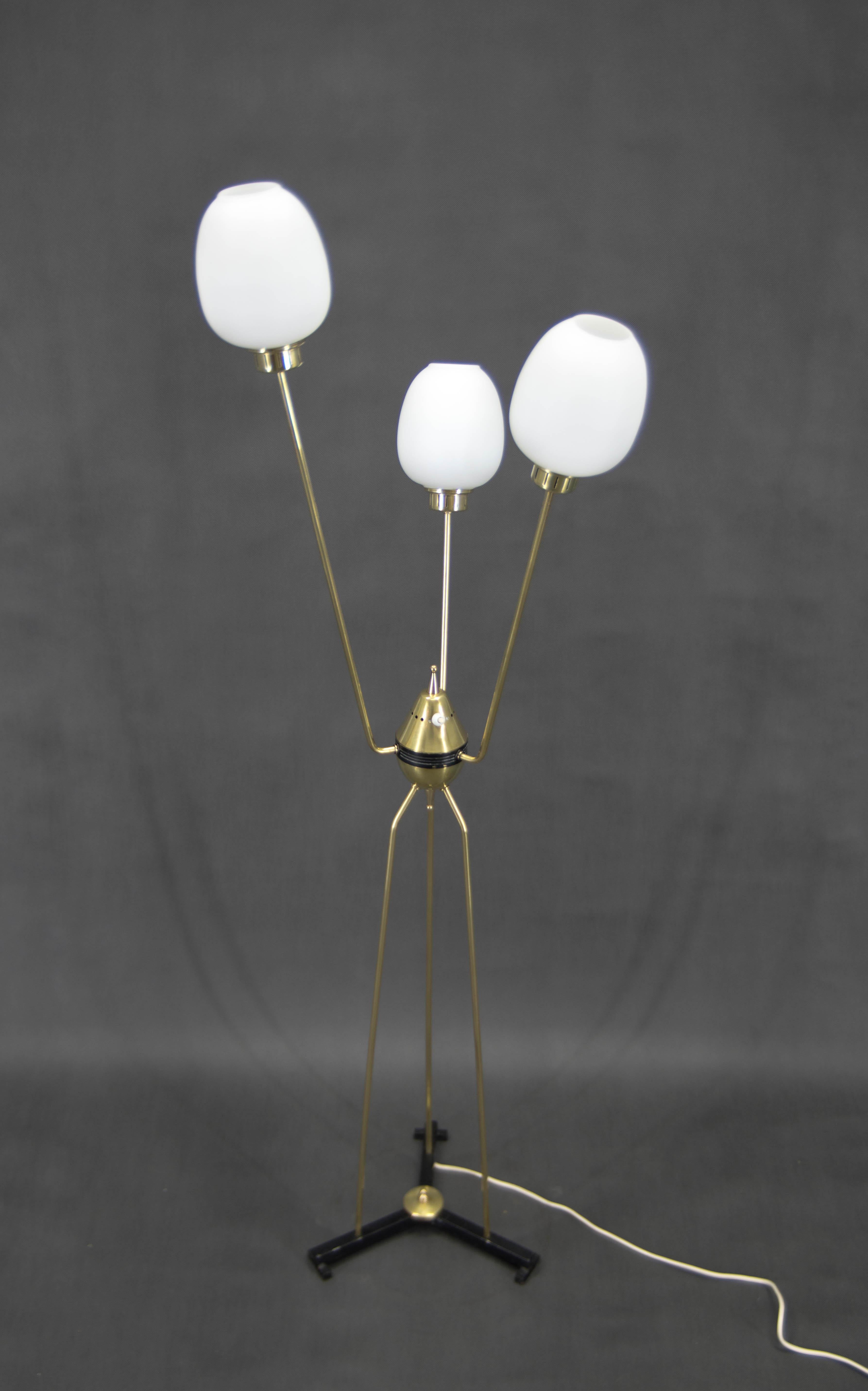 Mid-Century Modern Mid-Century Floor Lamp, Italy, 1960s For Sale